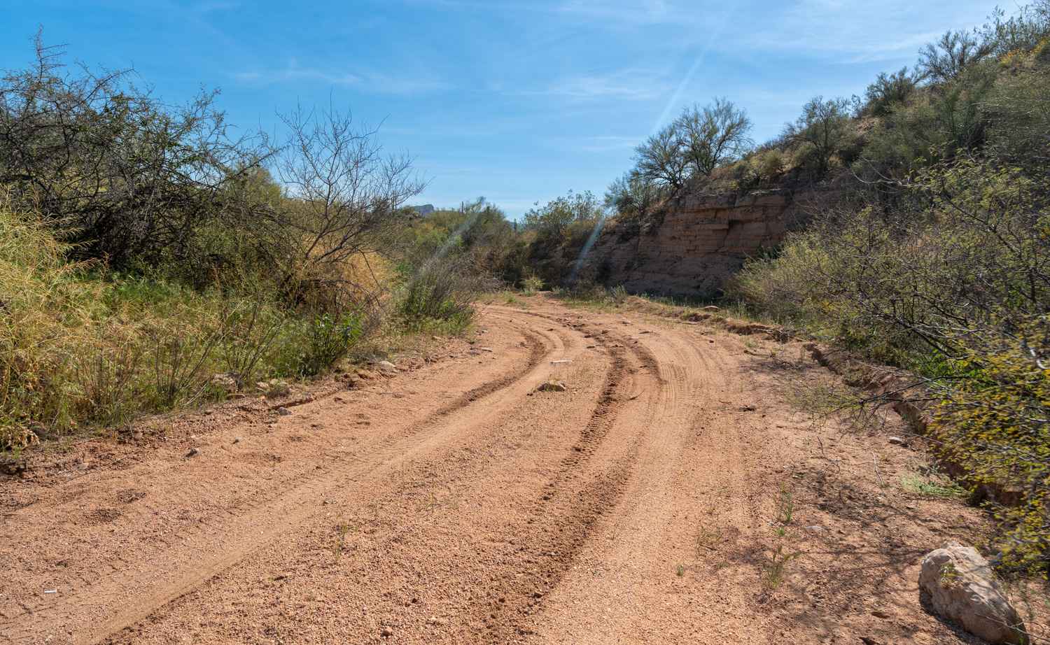 Braddock Creek - FS 3274