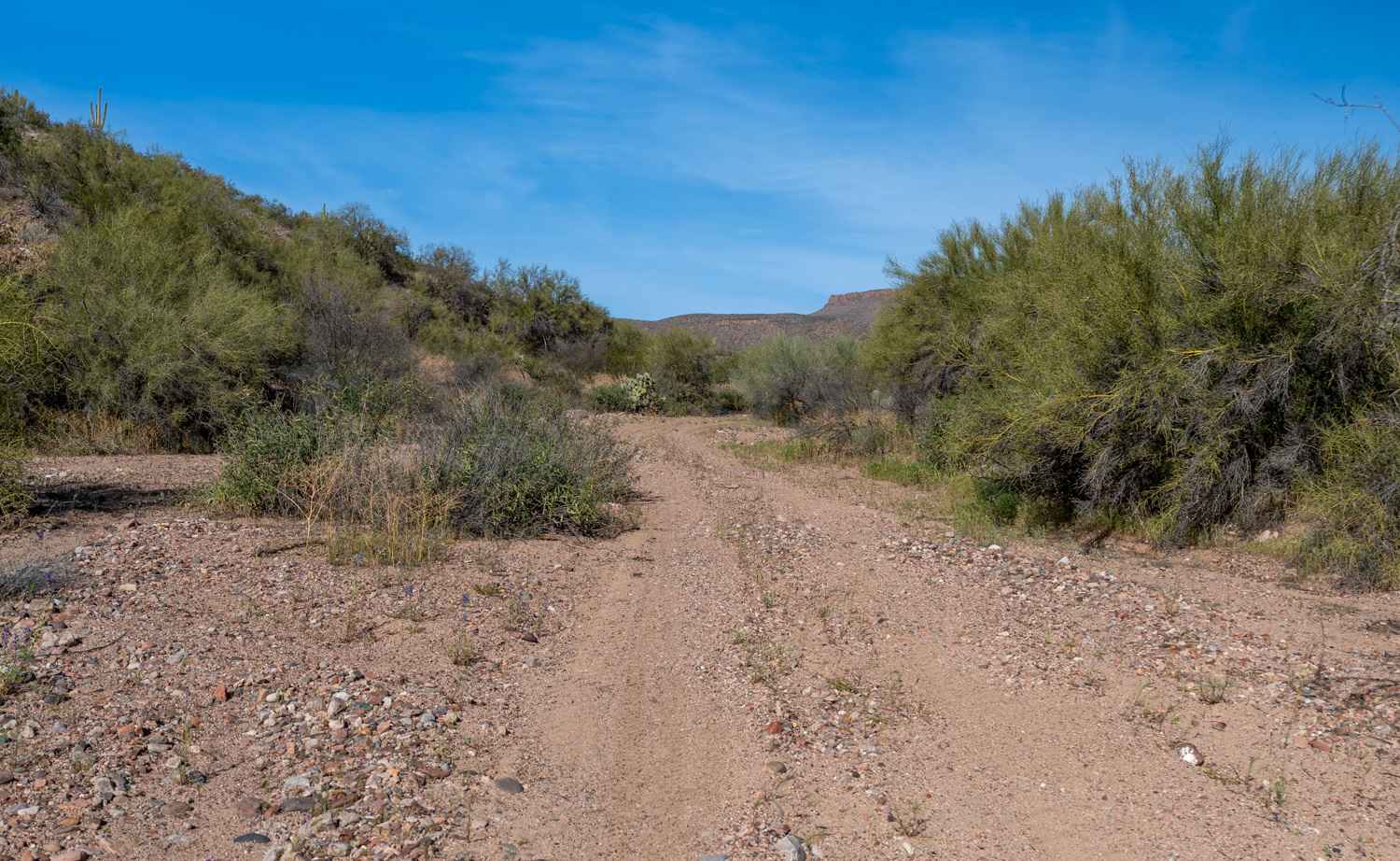 Braddock Creek - FS 9