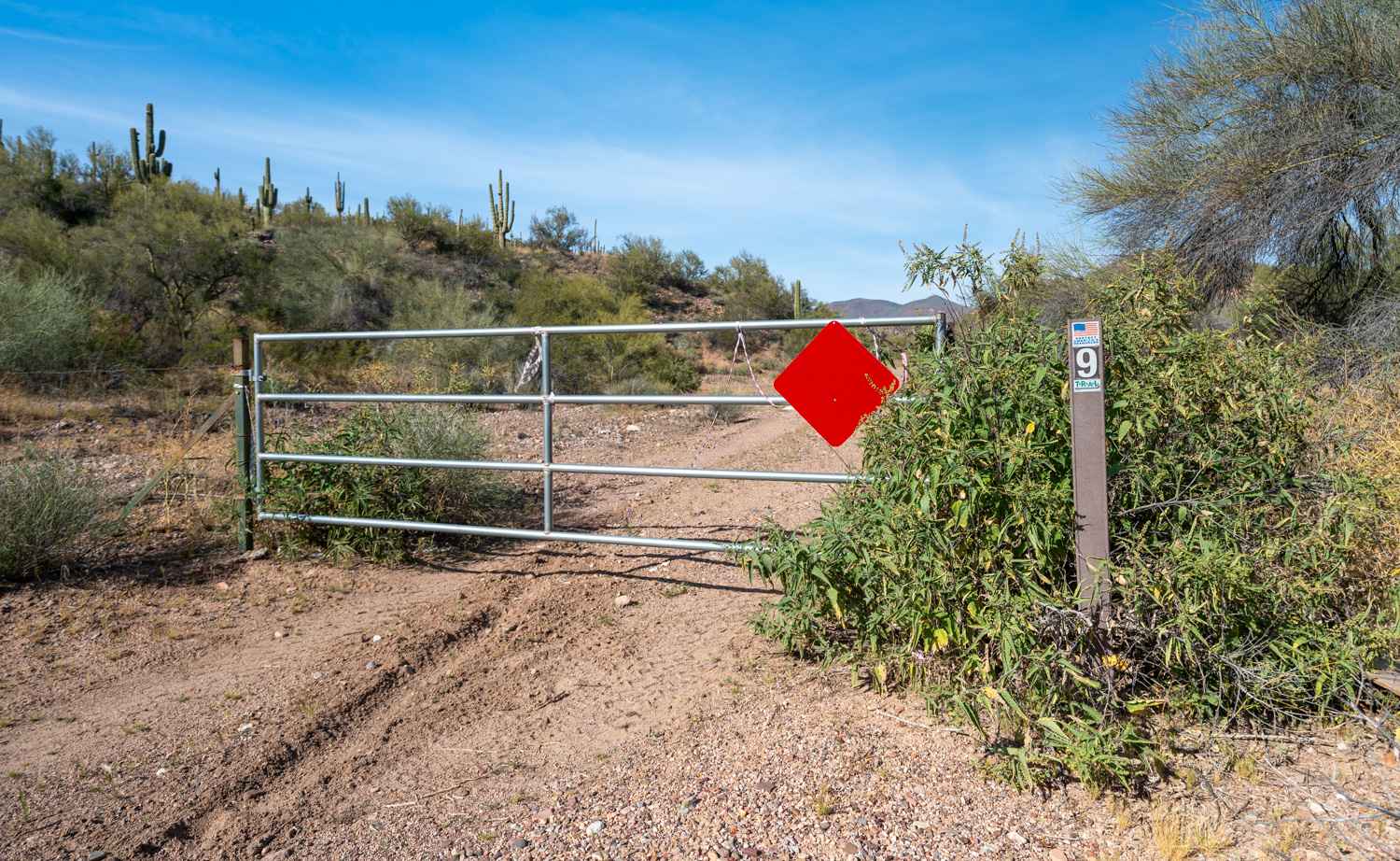 Braddock Creek - FS 9