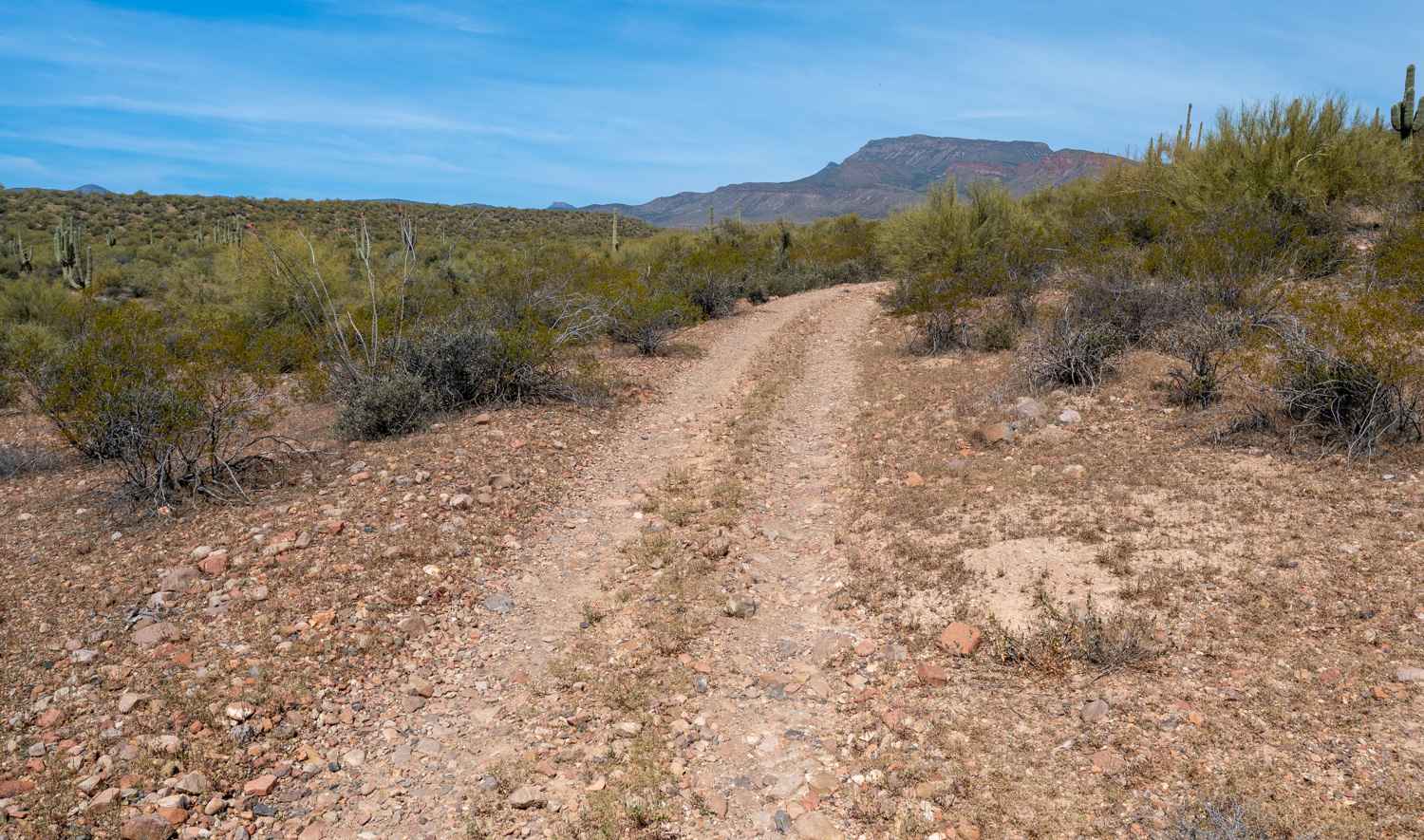 Parker Creek - FS 243/3294