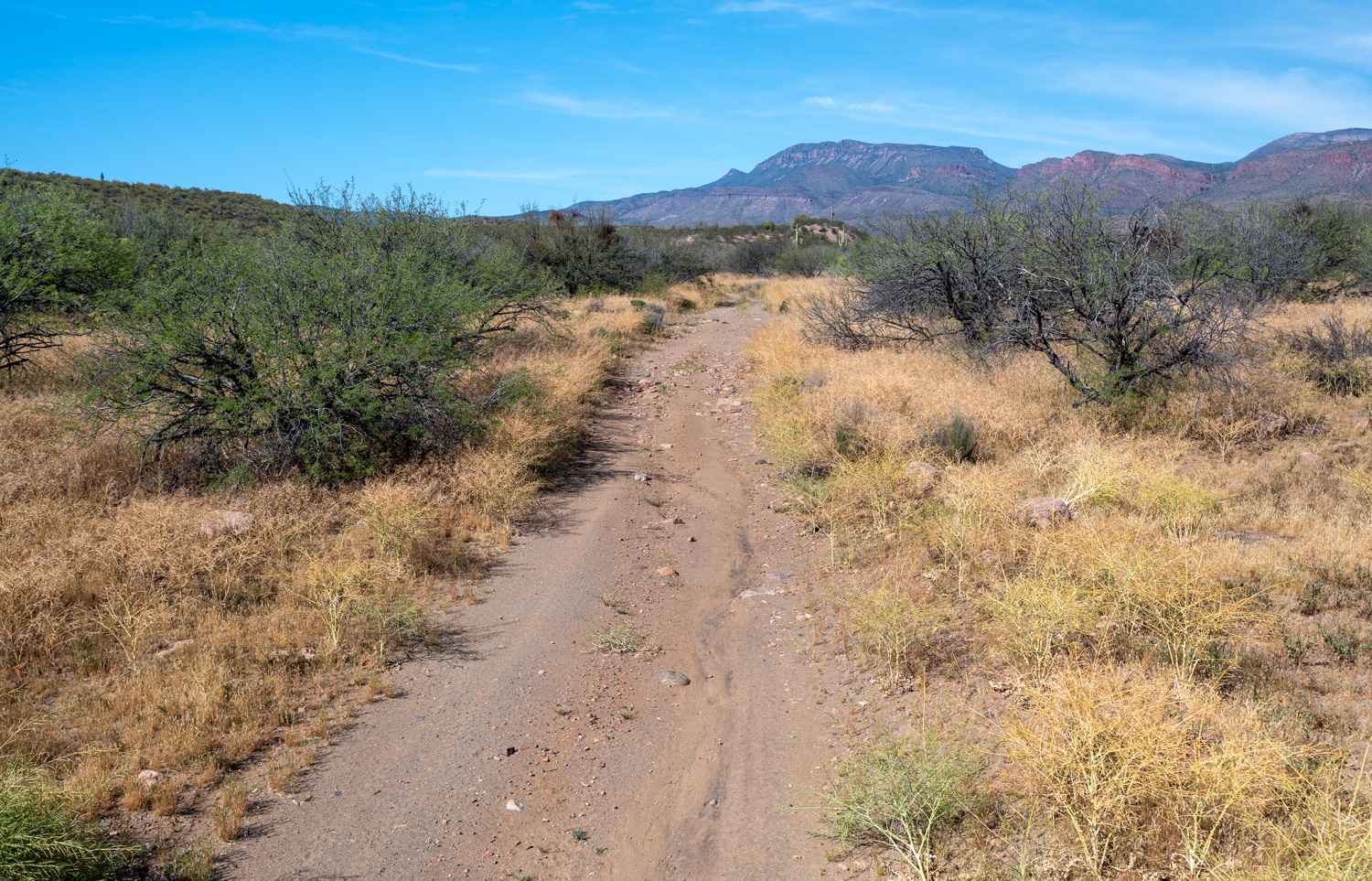 Connor Wash - FS 110