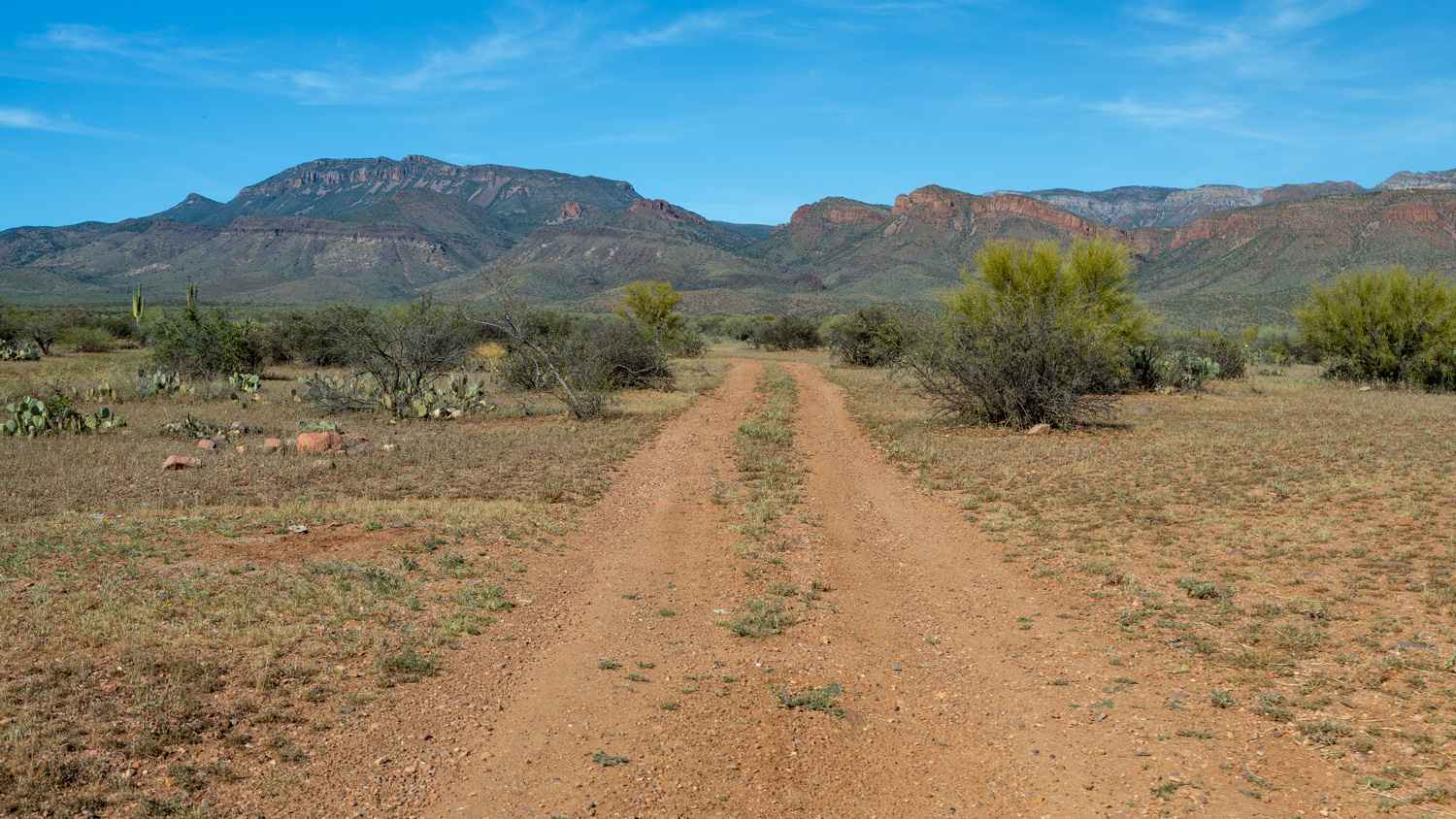 Connor Canyon - FS 97C