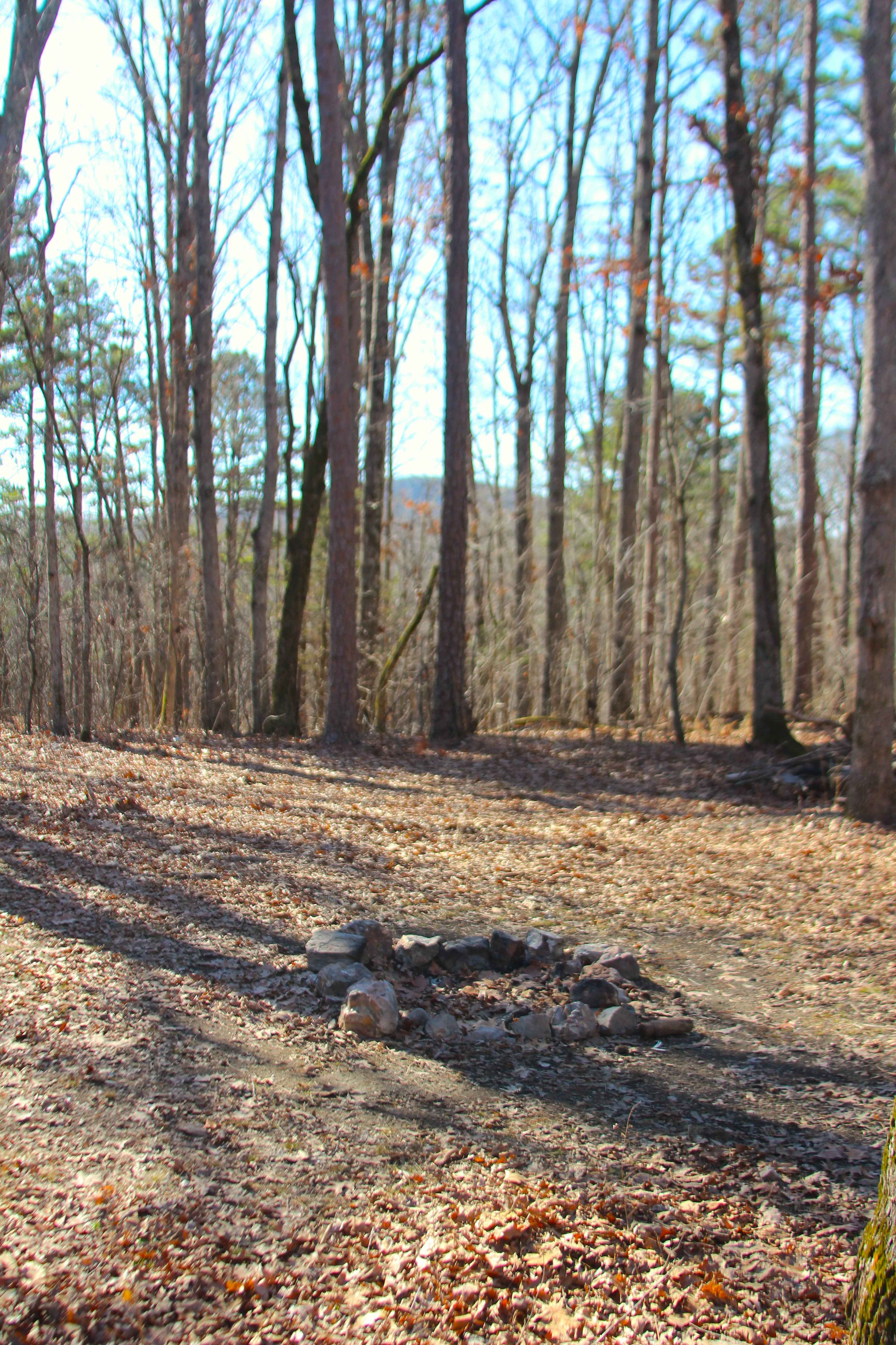 Peas Hollow - FS 421