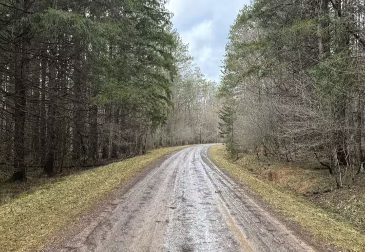 Beaver Meadows - FS 282