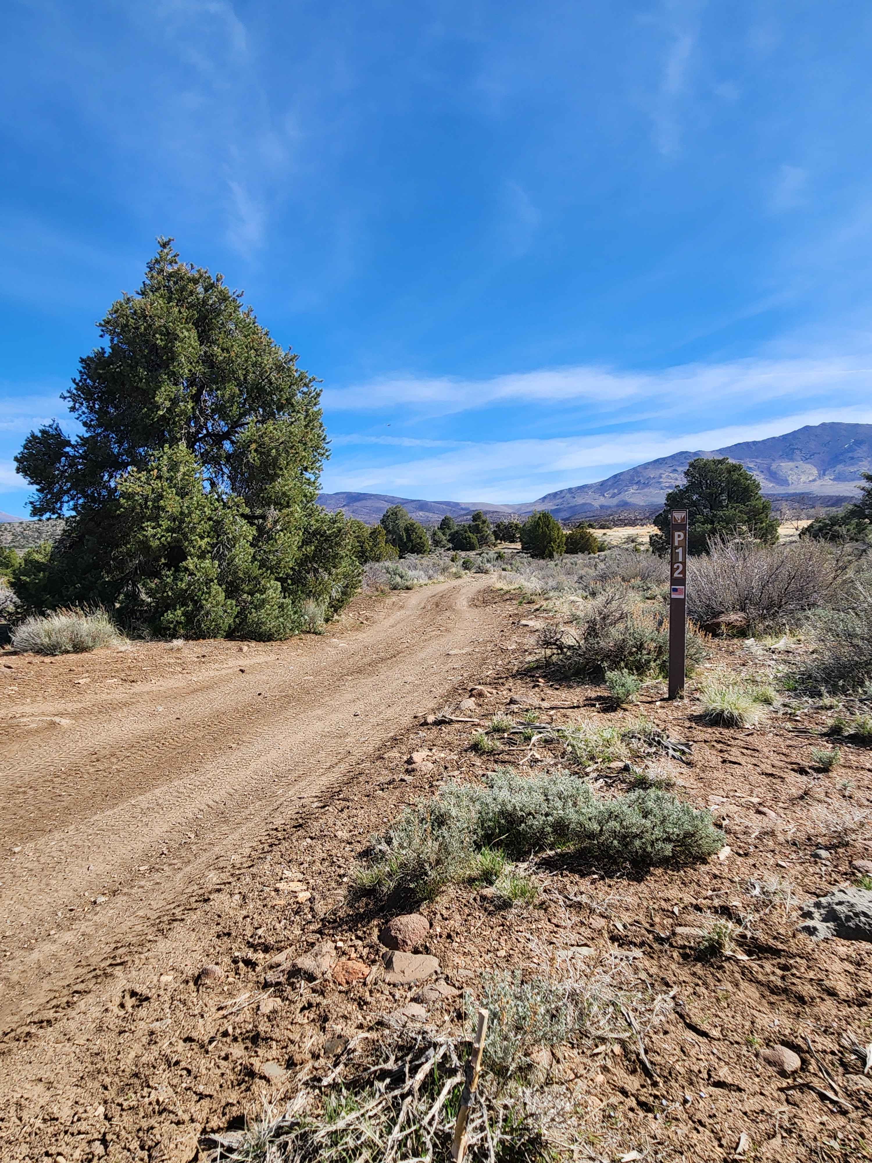 Lone Pine Canyon Road - BLM P-12