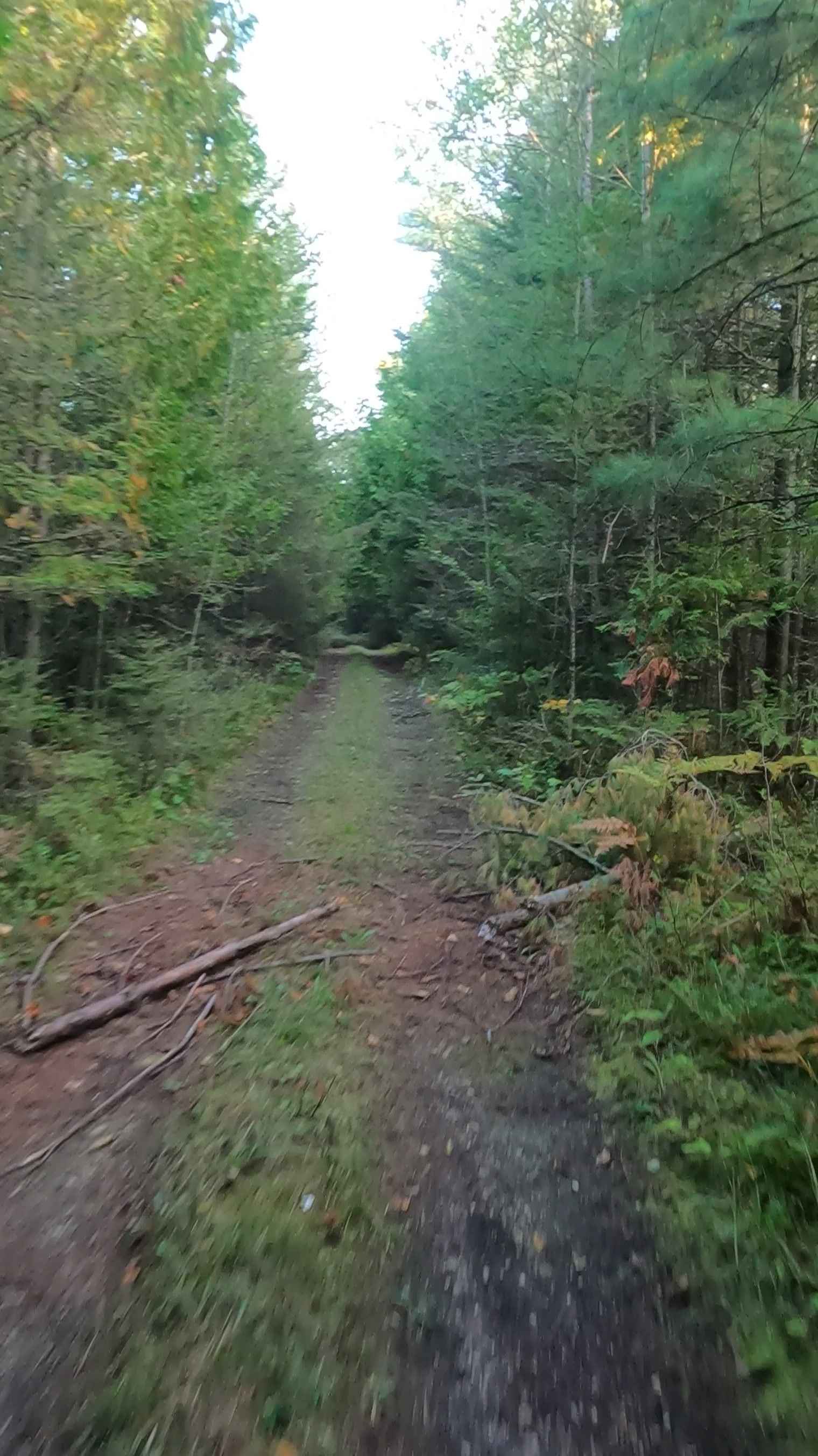 Old Castle Rock Trail - FS 3163