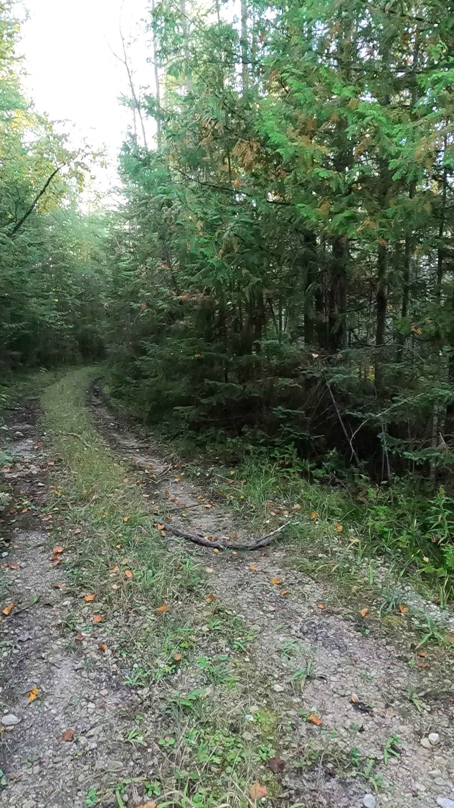 Old Castle Rock Spur A - FS 3163A