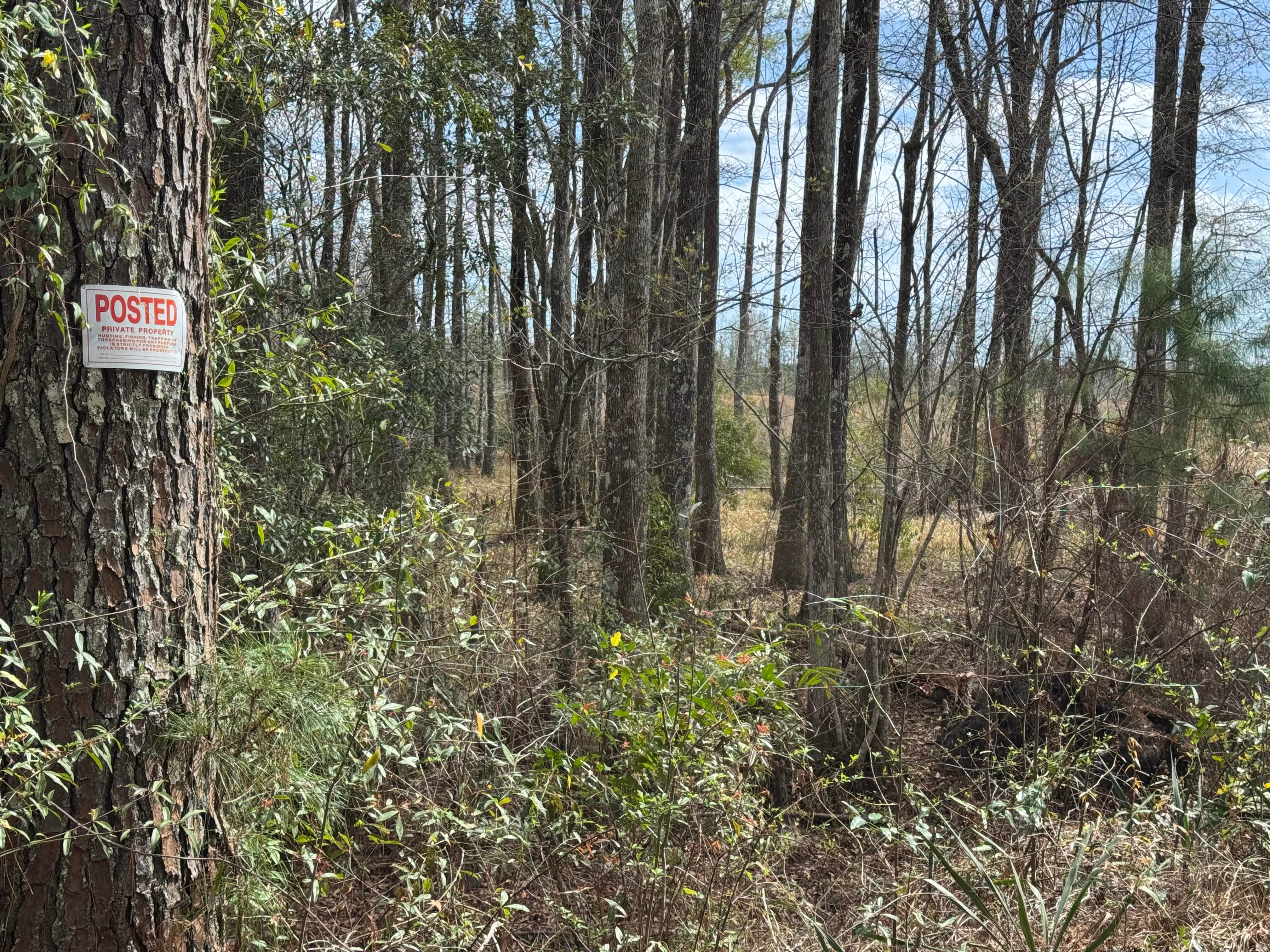 Gibson/Bay Connector