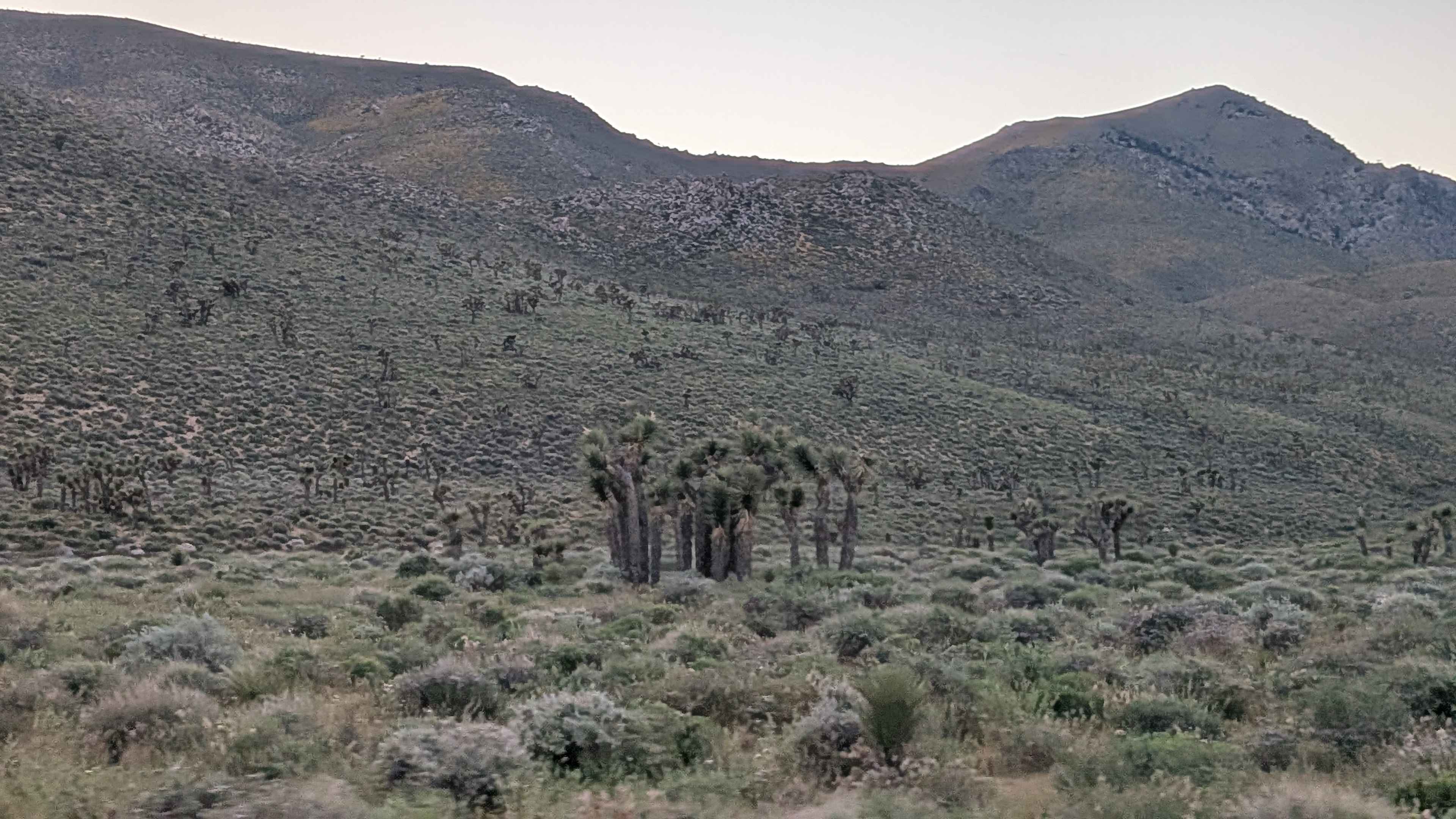 Cow Heaven Canyon Road BLM SC51