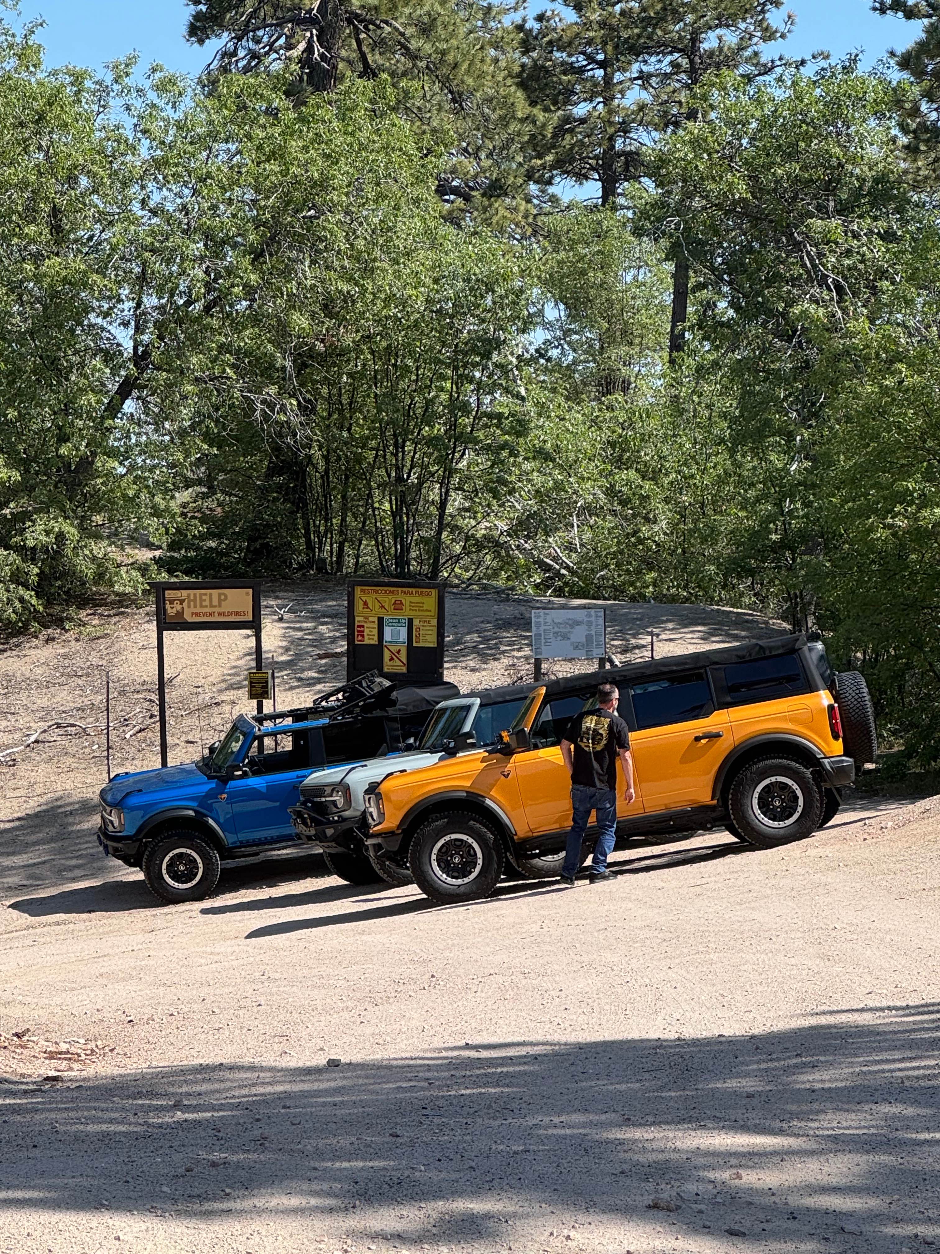 Holcomb Valley Road (West) - FS 3N16