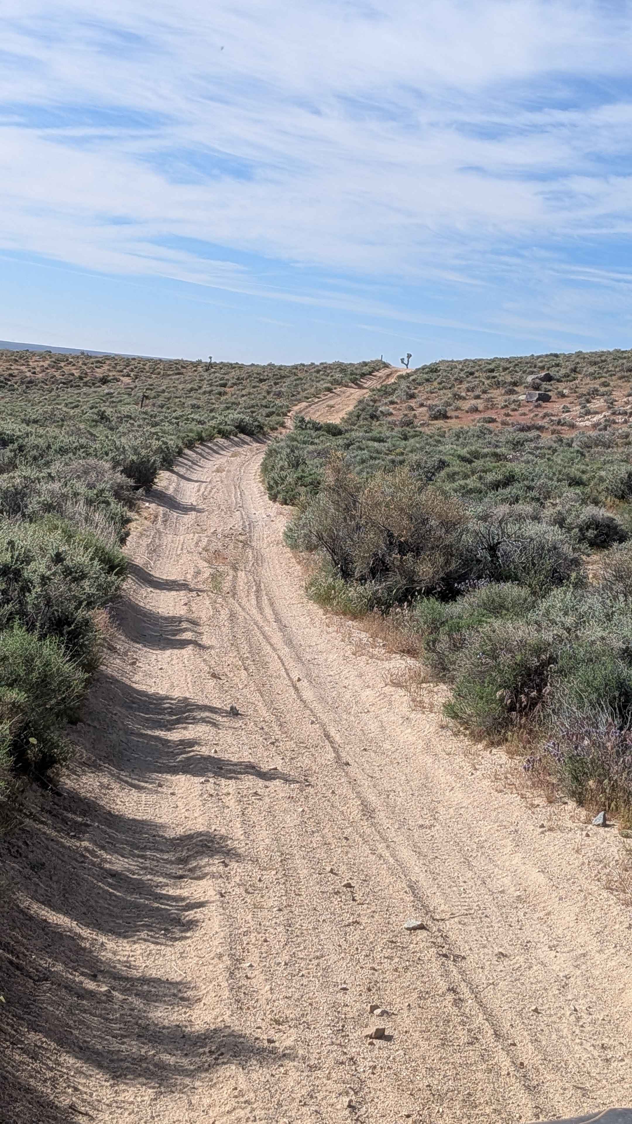 Cow Heaven Canyon Cutoff SC82