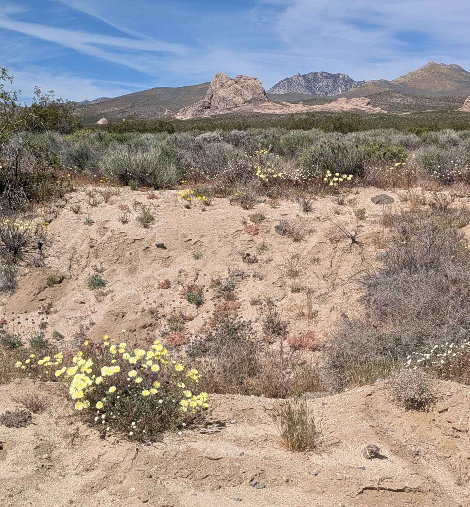 BLM LA1 Highway 178 South