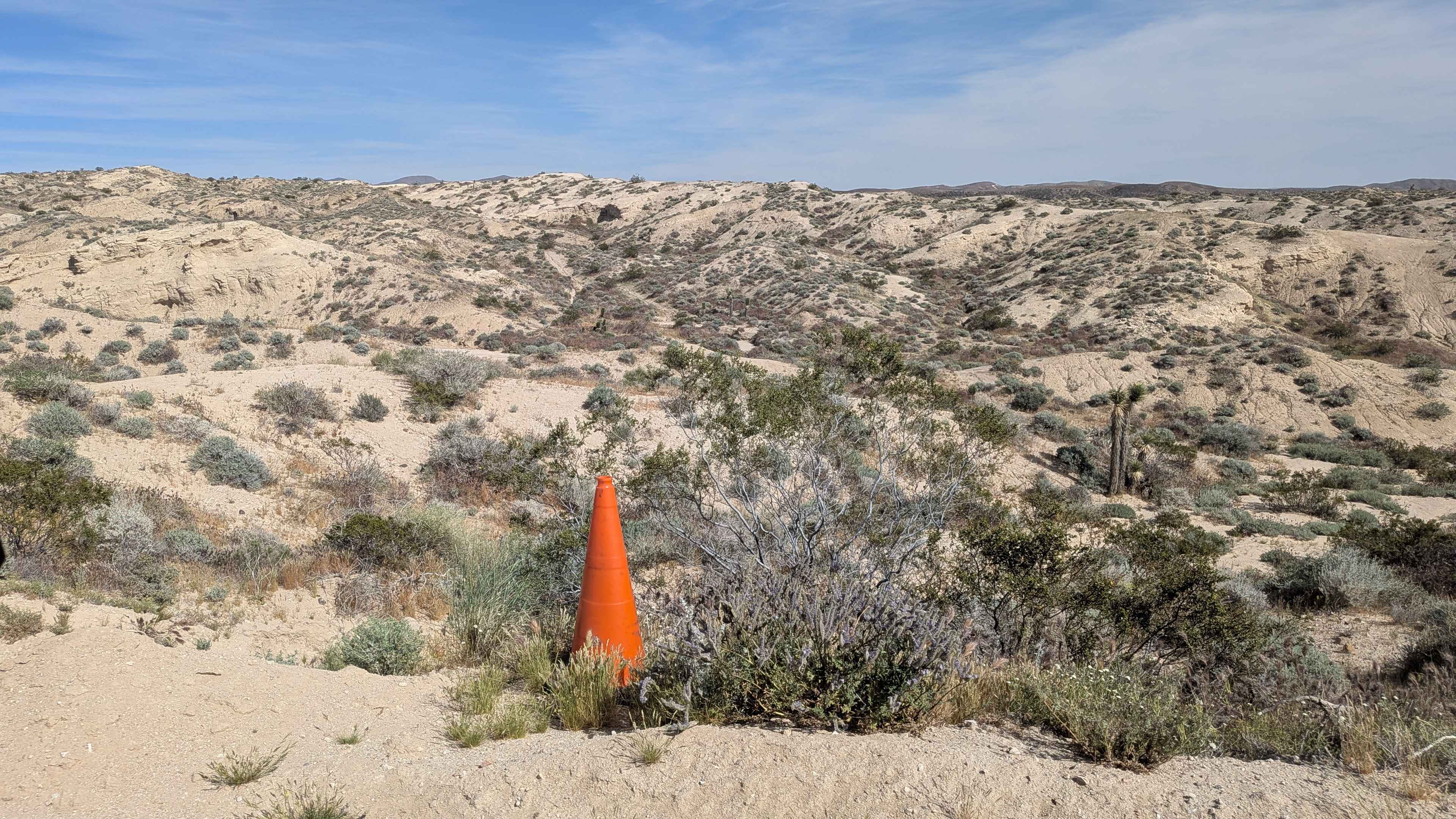 BLM LAP Dove Springs OHV