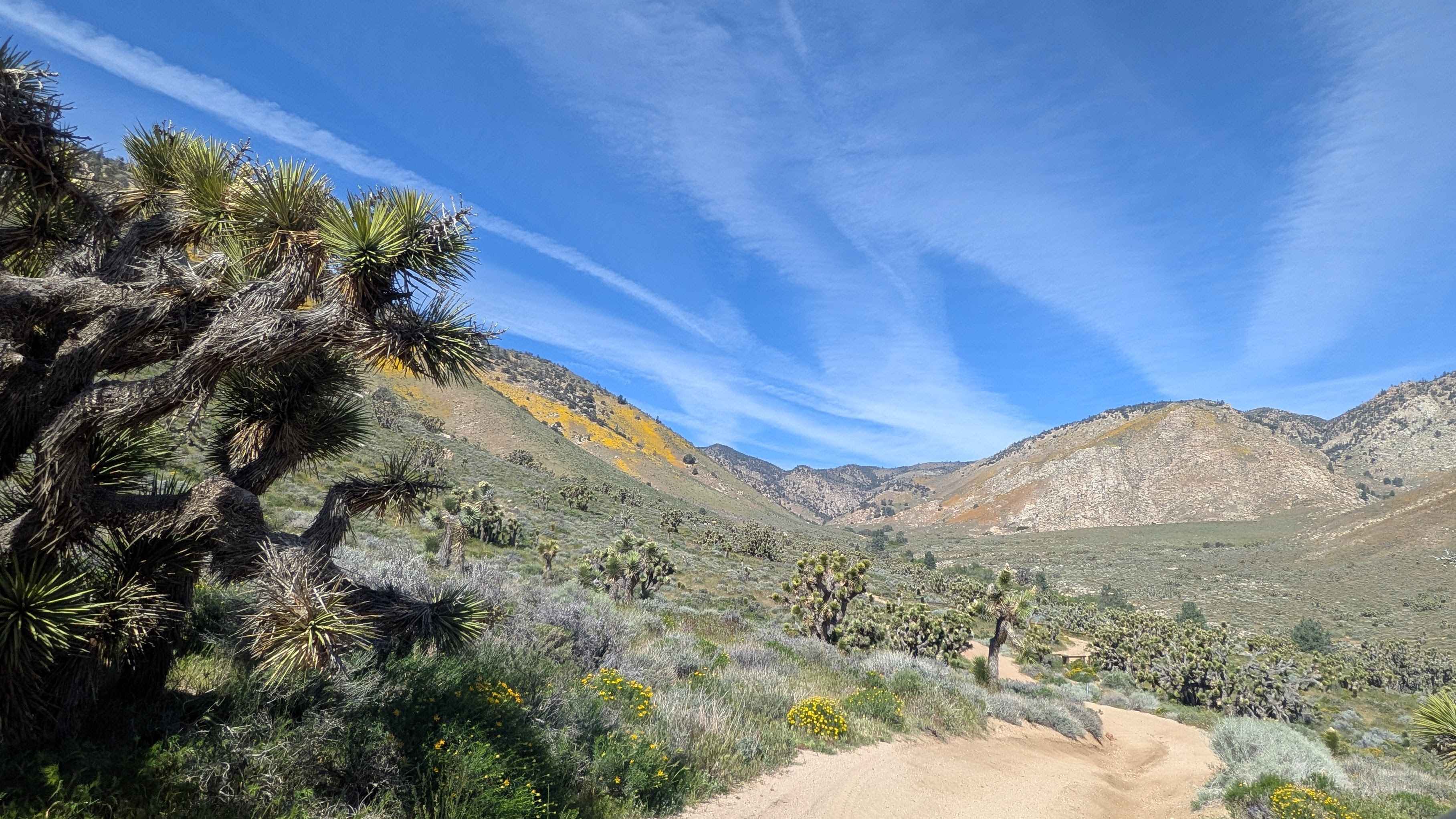 Sage Canyon Road BLM SC56