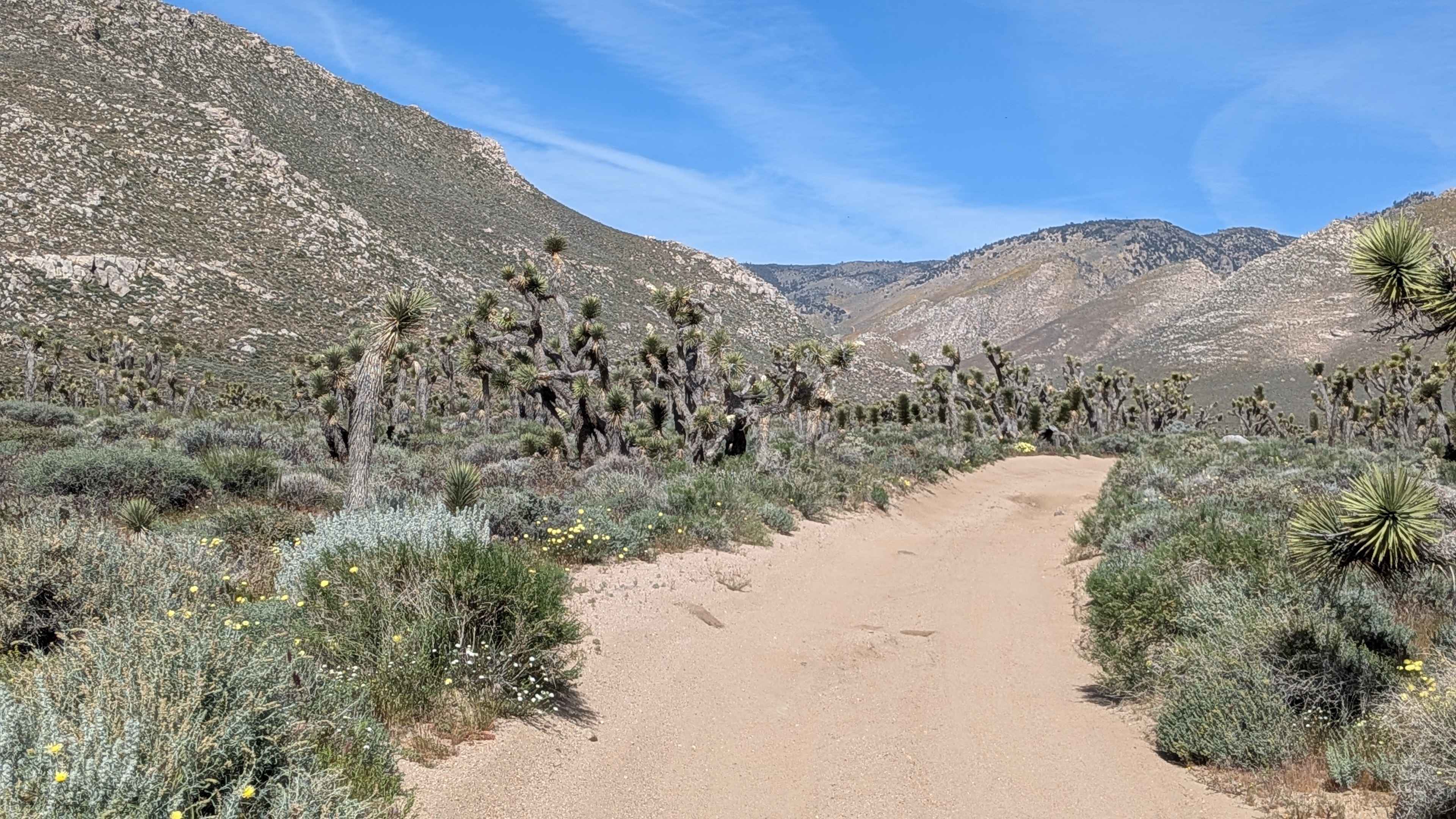 Sage Canyon Road BLM SC56