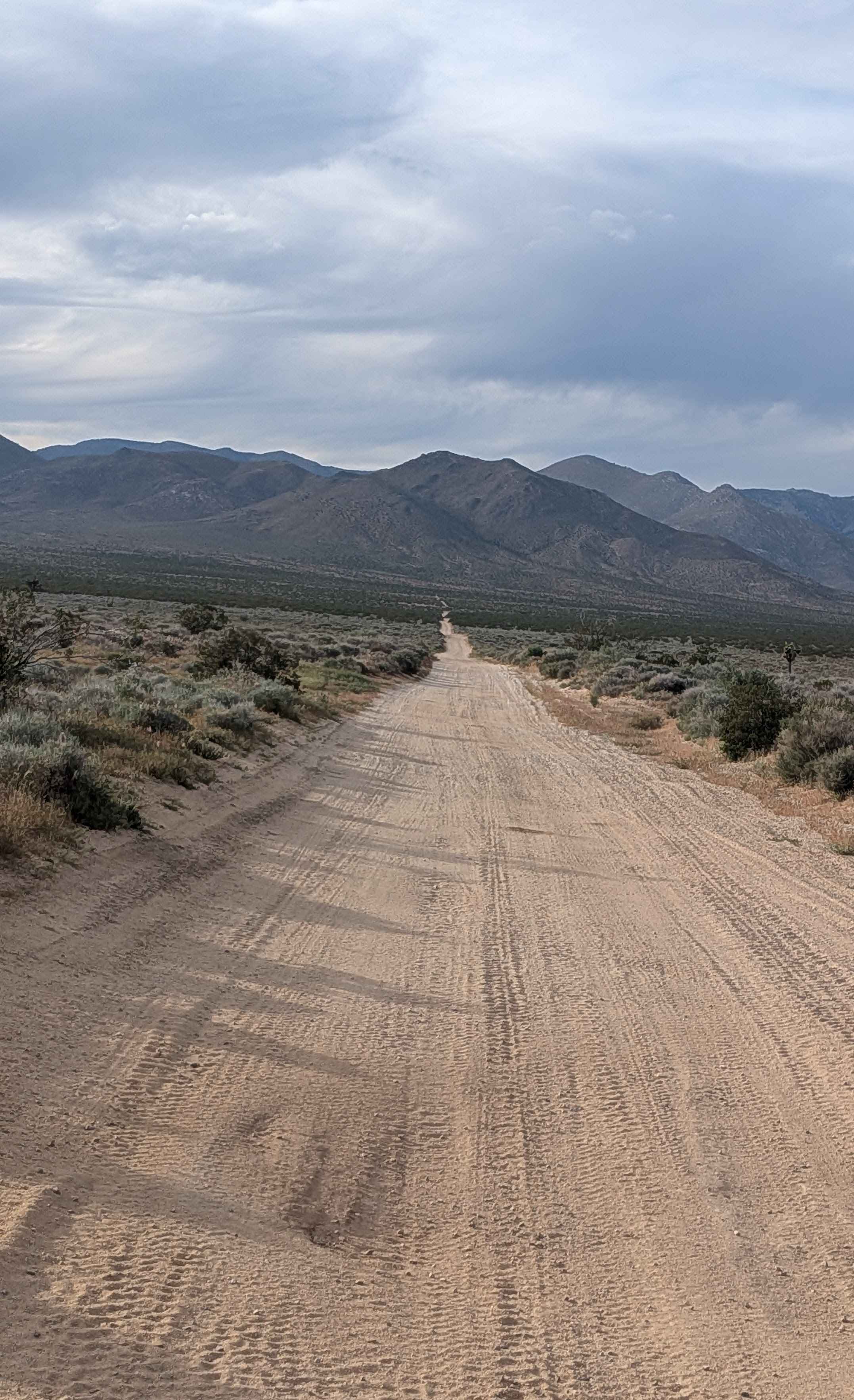 Horse Canyon BLM SC65 South
