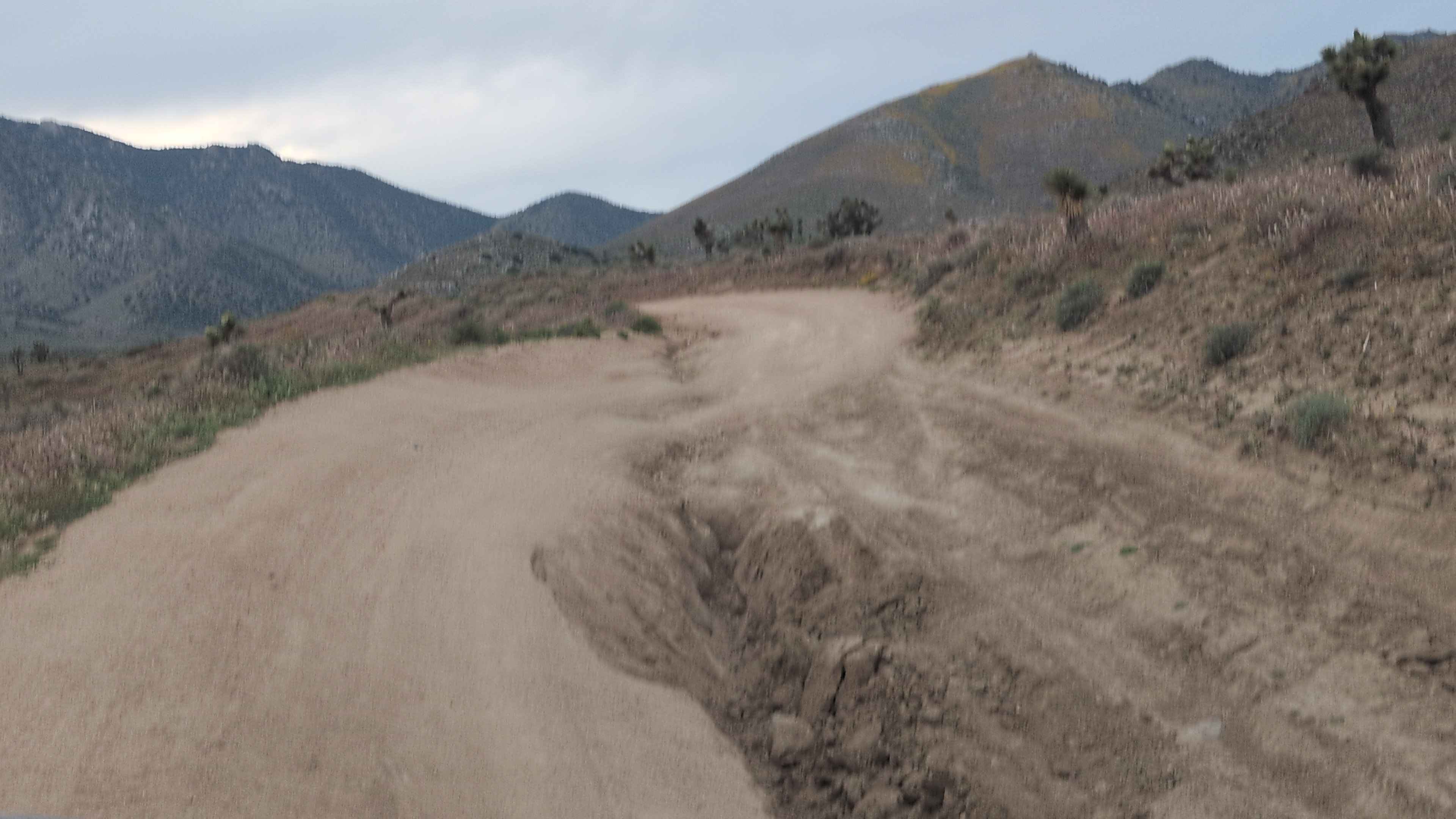 Horse Canyon BLM SC65 North