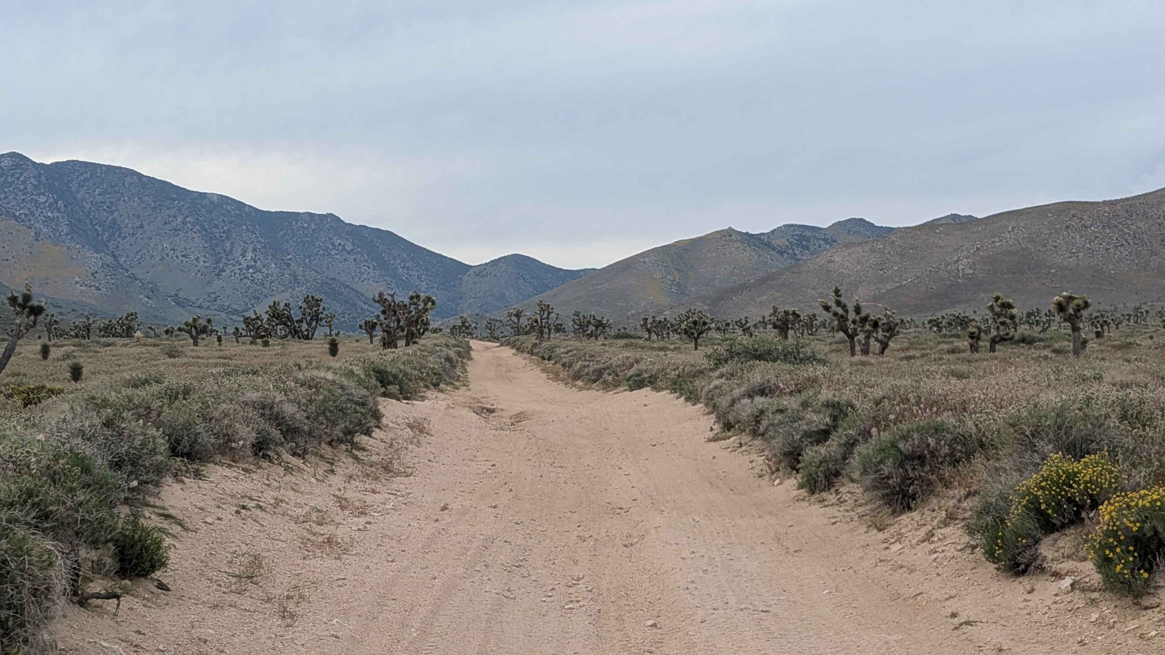 Horse Canyon BLM SC65 North