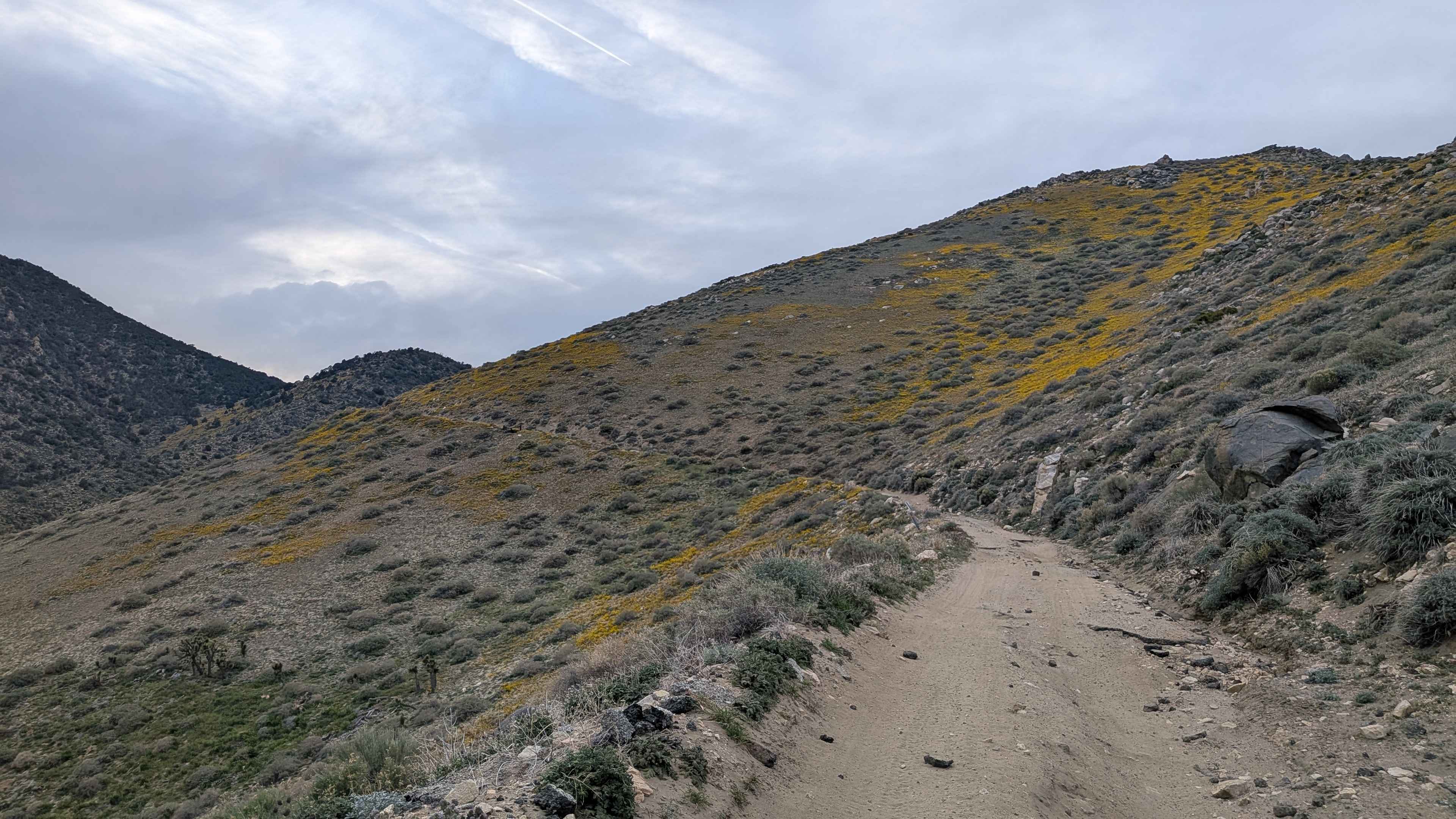 Horse Mountain - FS 27S11