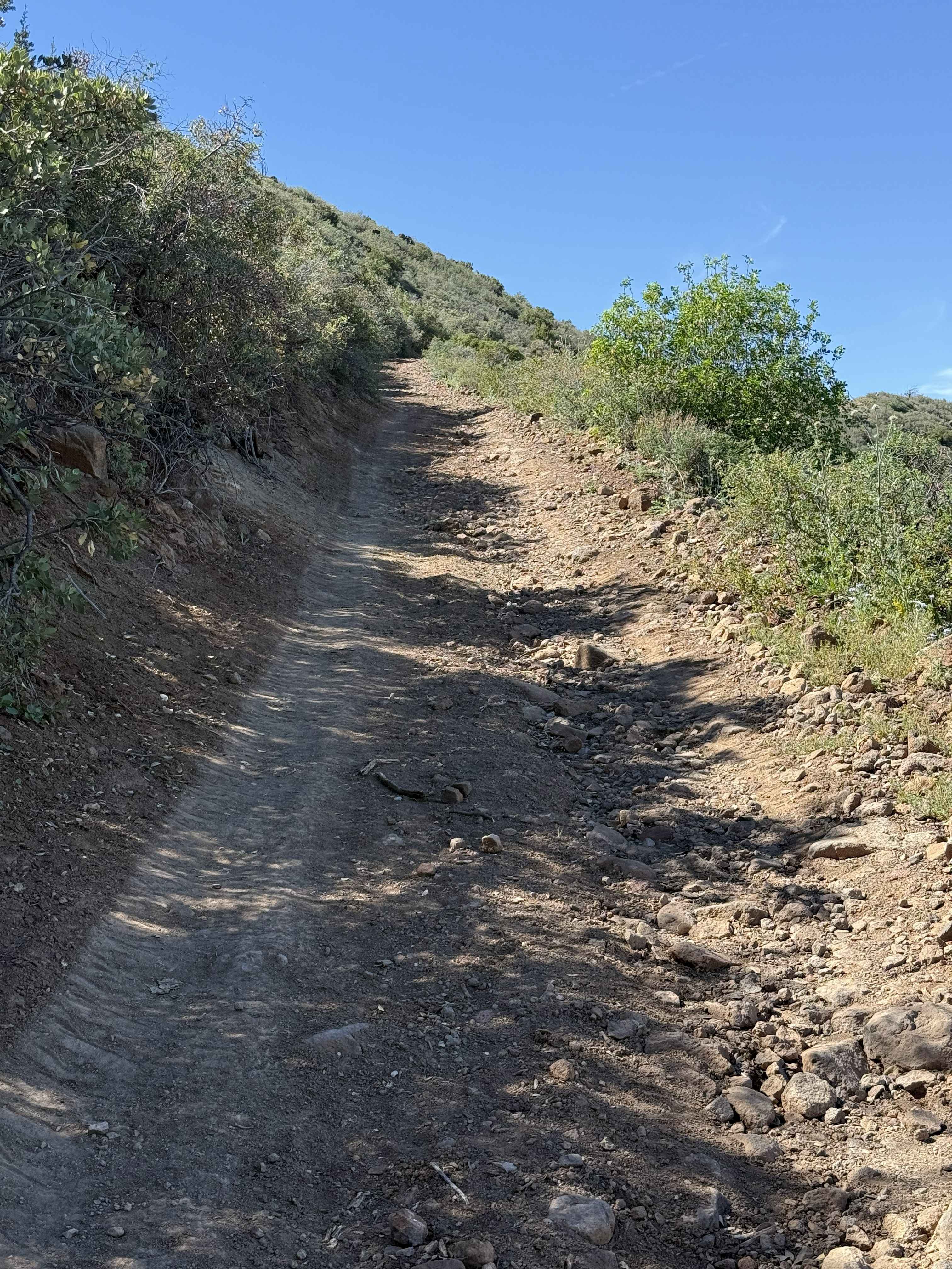 Black Jack Tank - FS 597