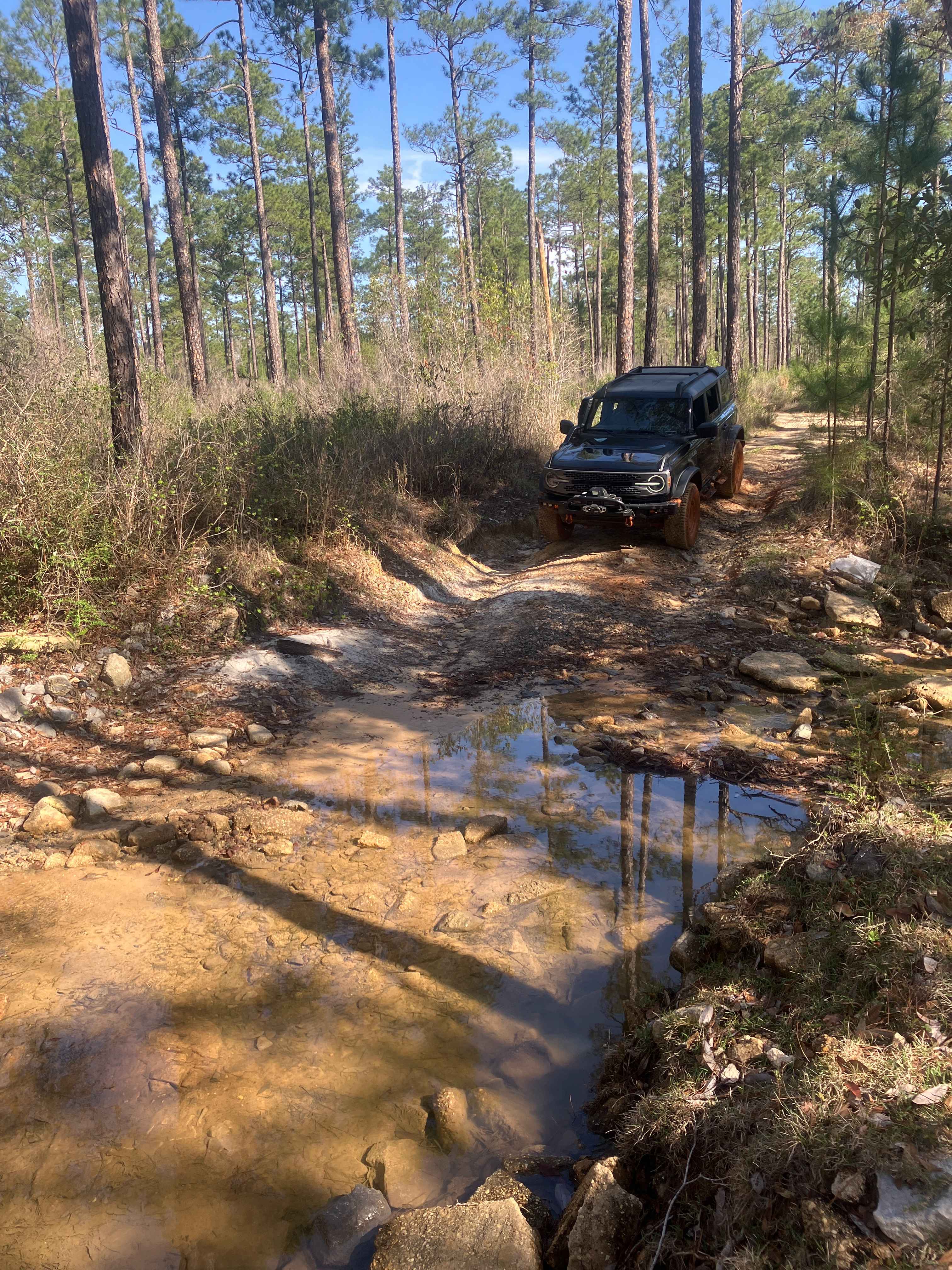 Blue Trail W23