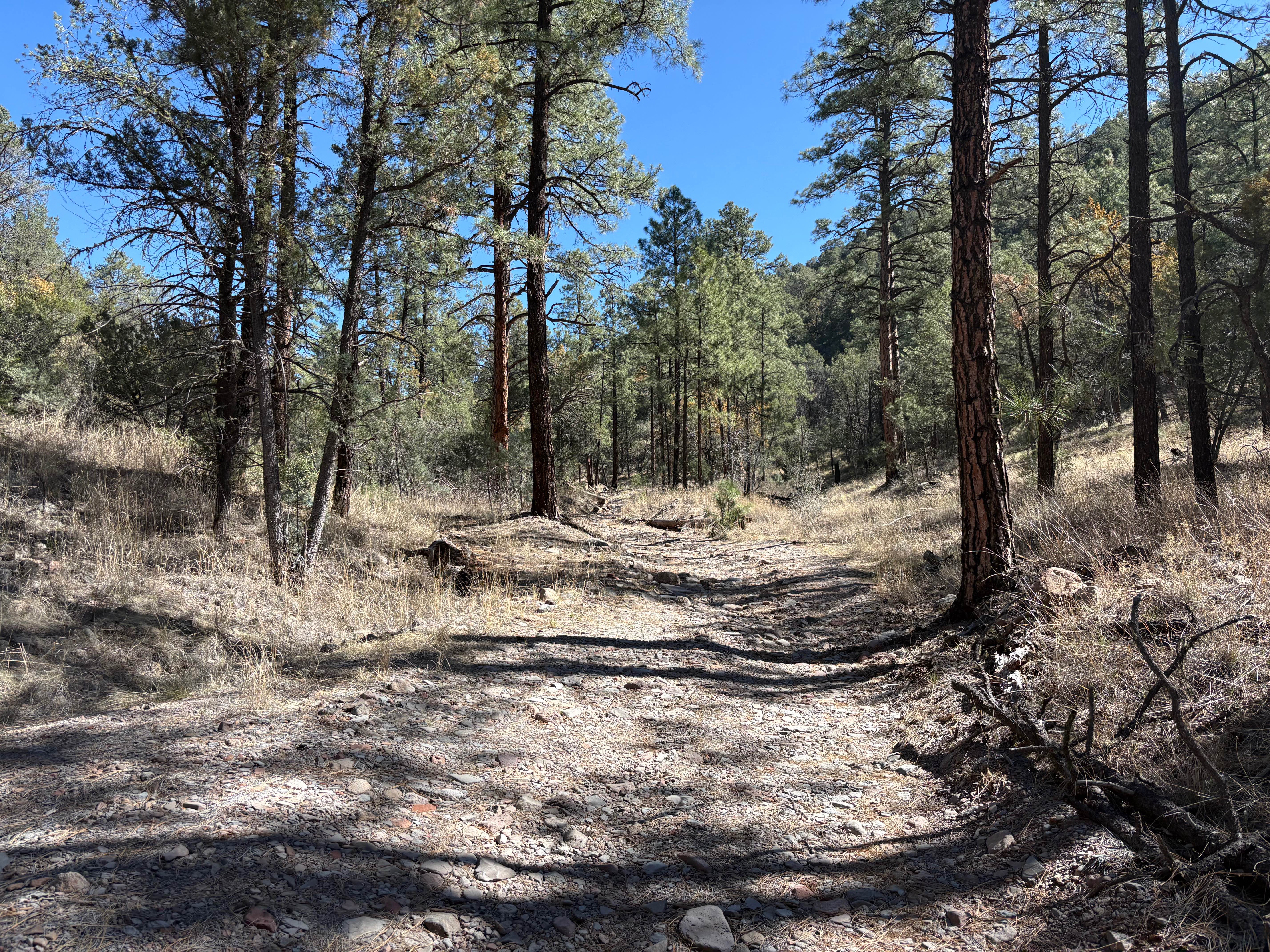 Hay Mesa - Trail 976