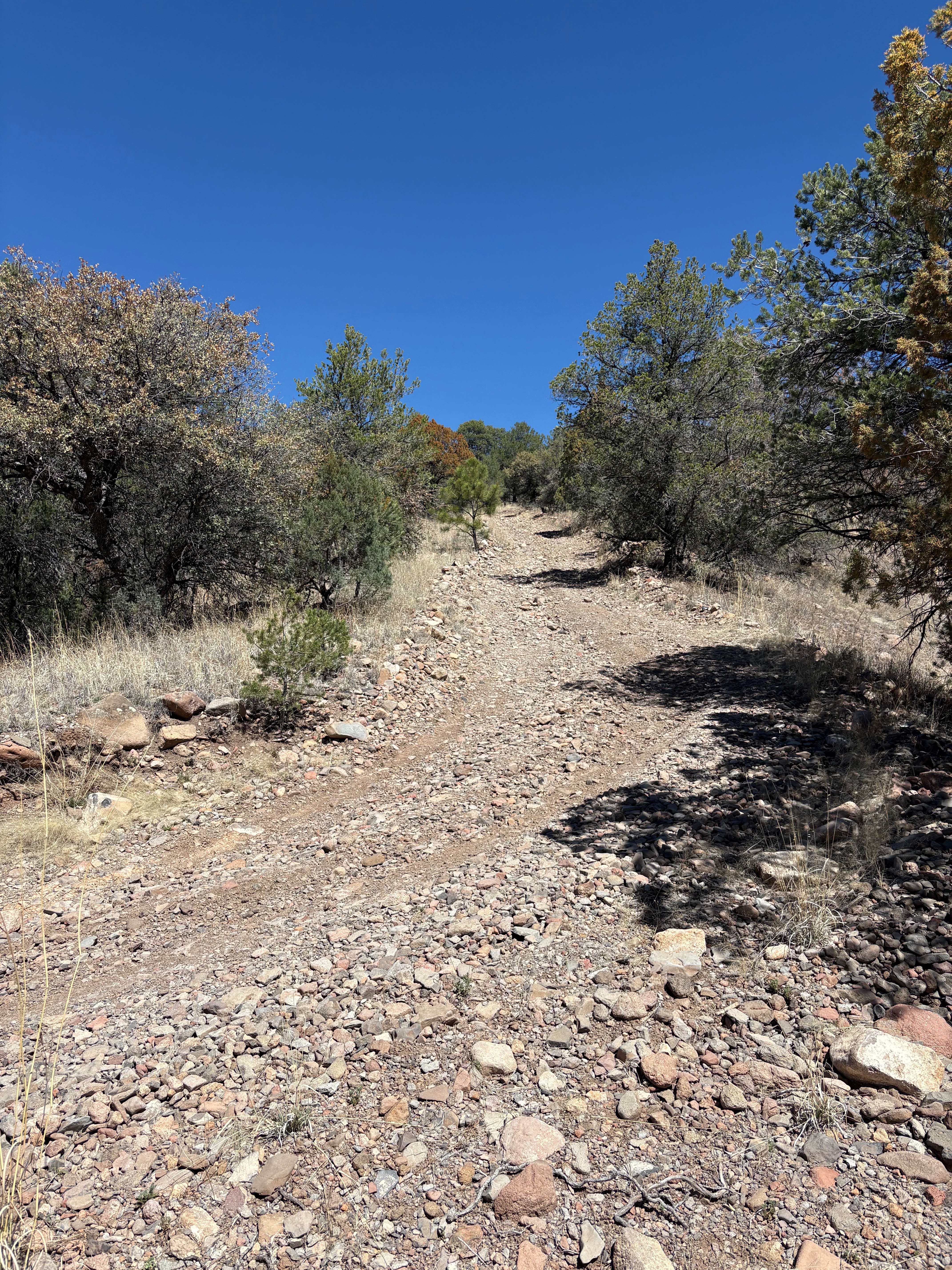 Hay Mesa - Trail 976