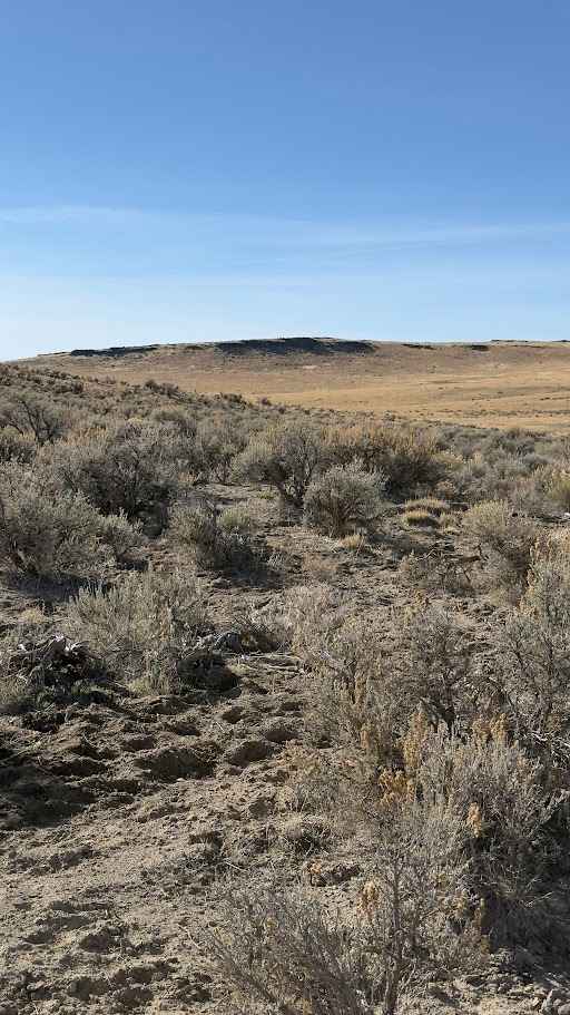 Christmas Valley Desert Crossing