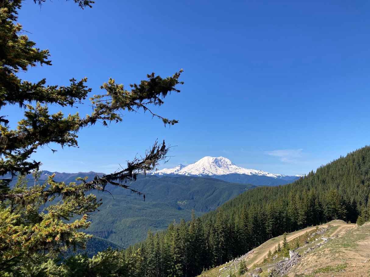 Williams Hole - FS 7032