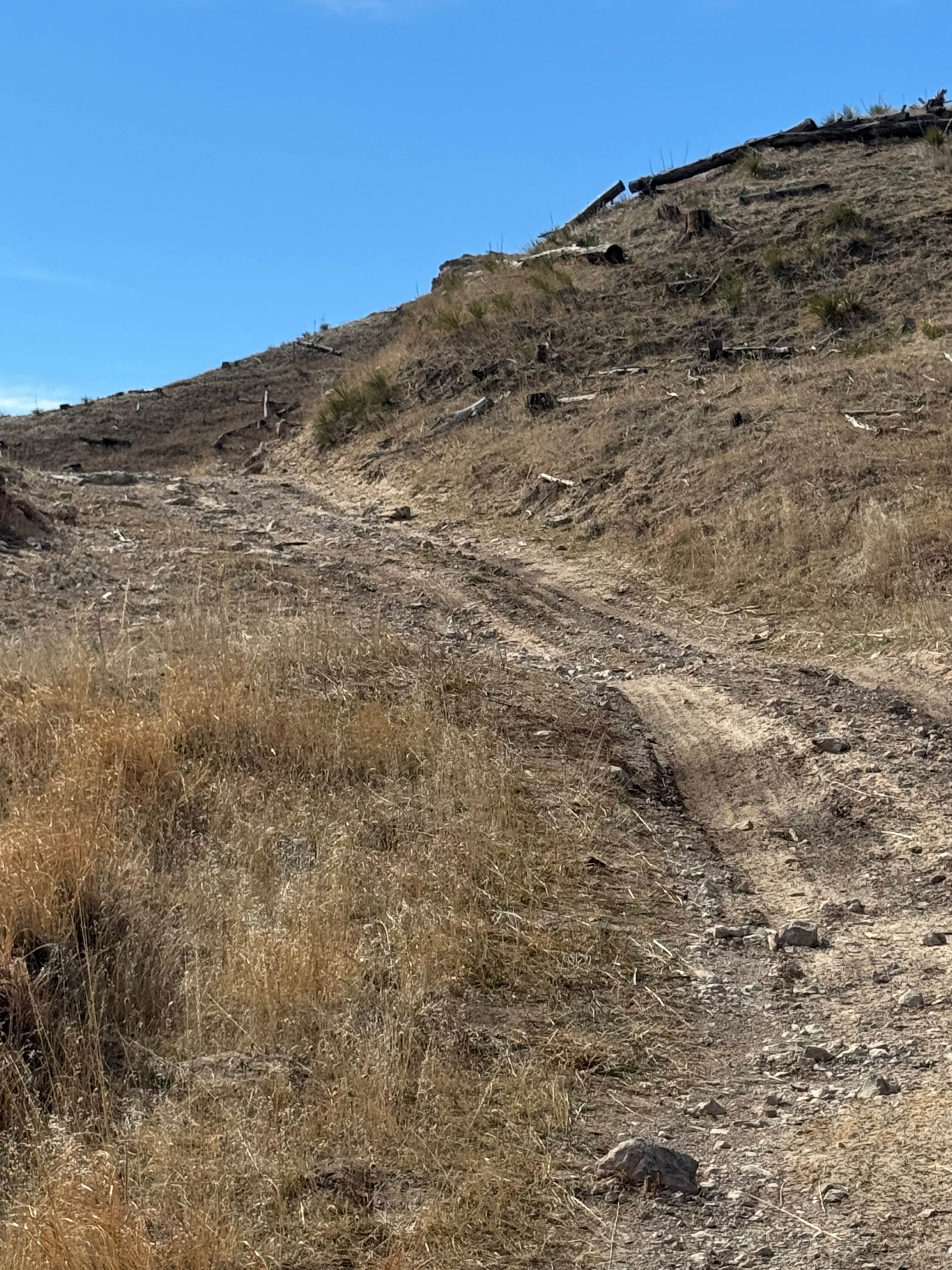 Coffee Mill Butte - FS 702