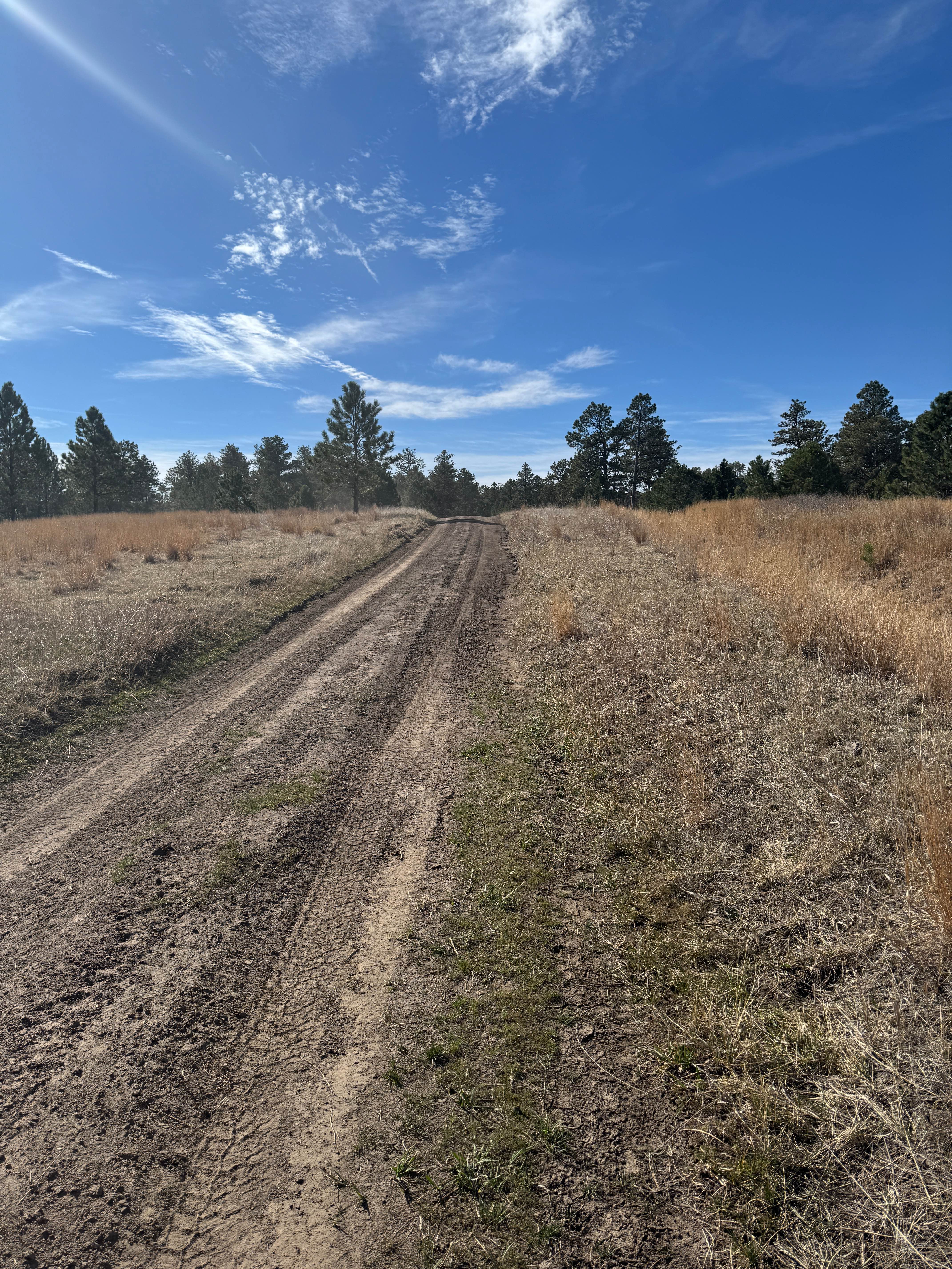 Coffee Mill Butte - FS 702