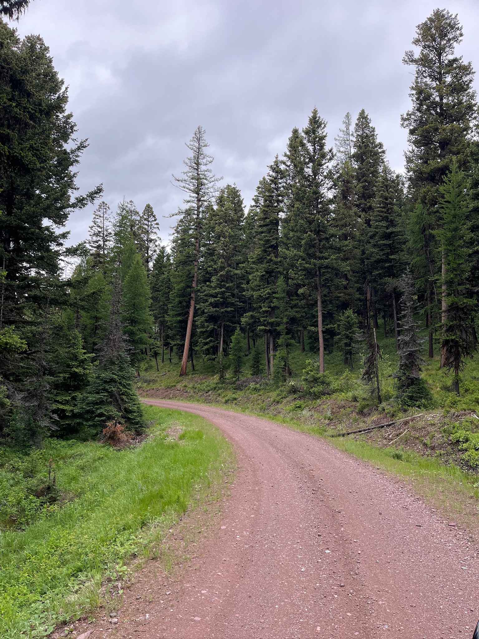 Sawyer Creek Road - FS 685