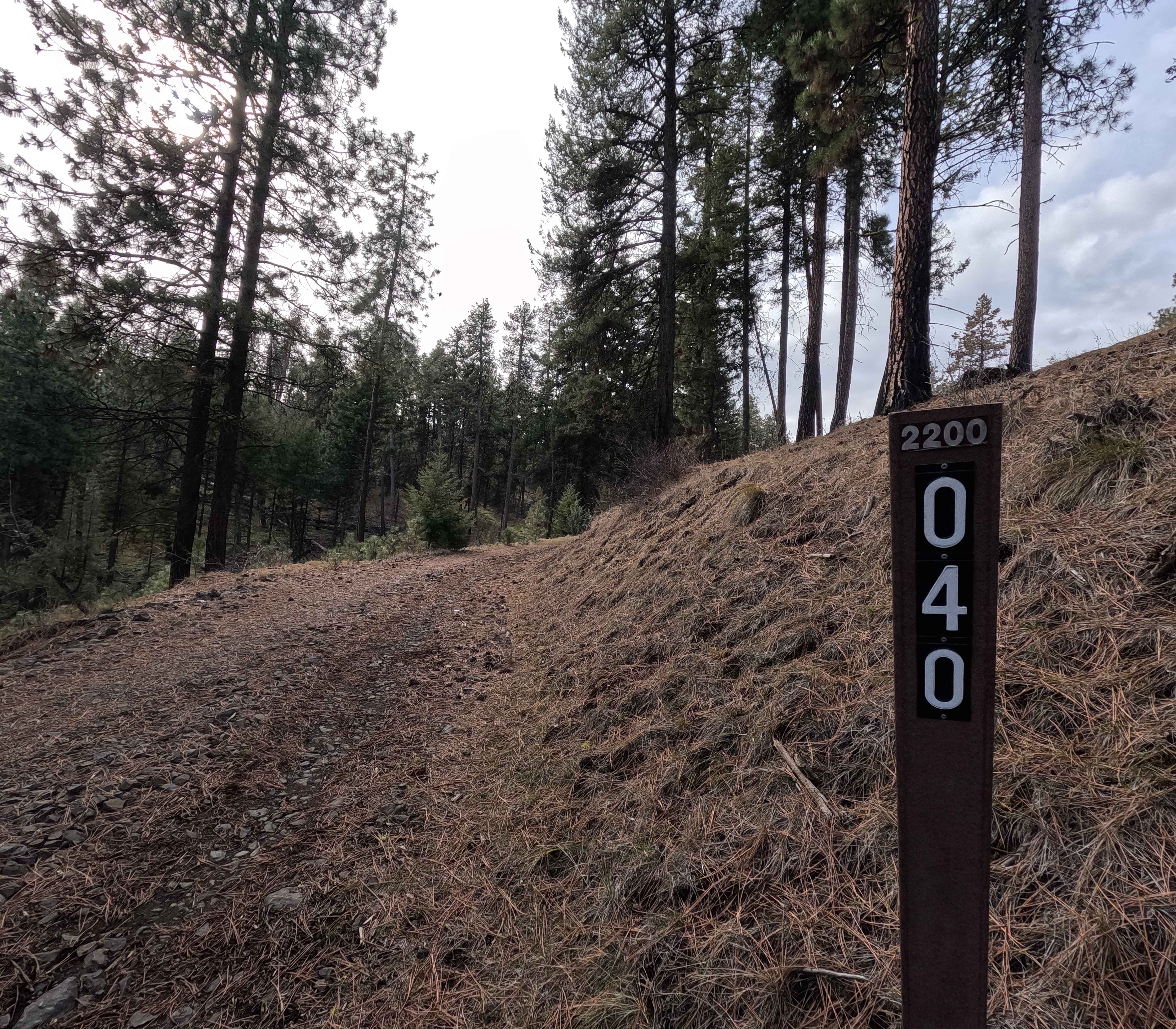 Turner Mountain - FS 2200040