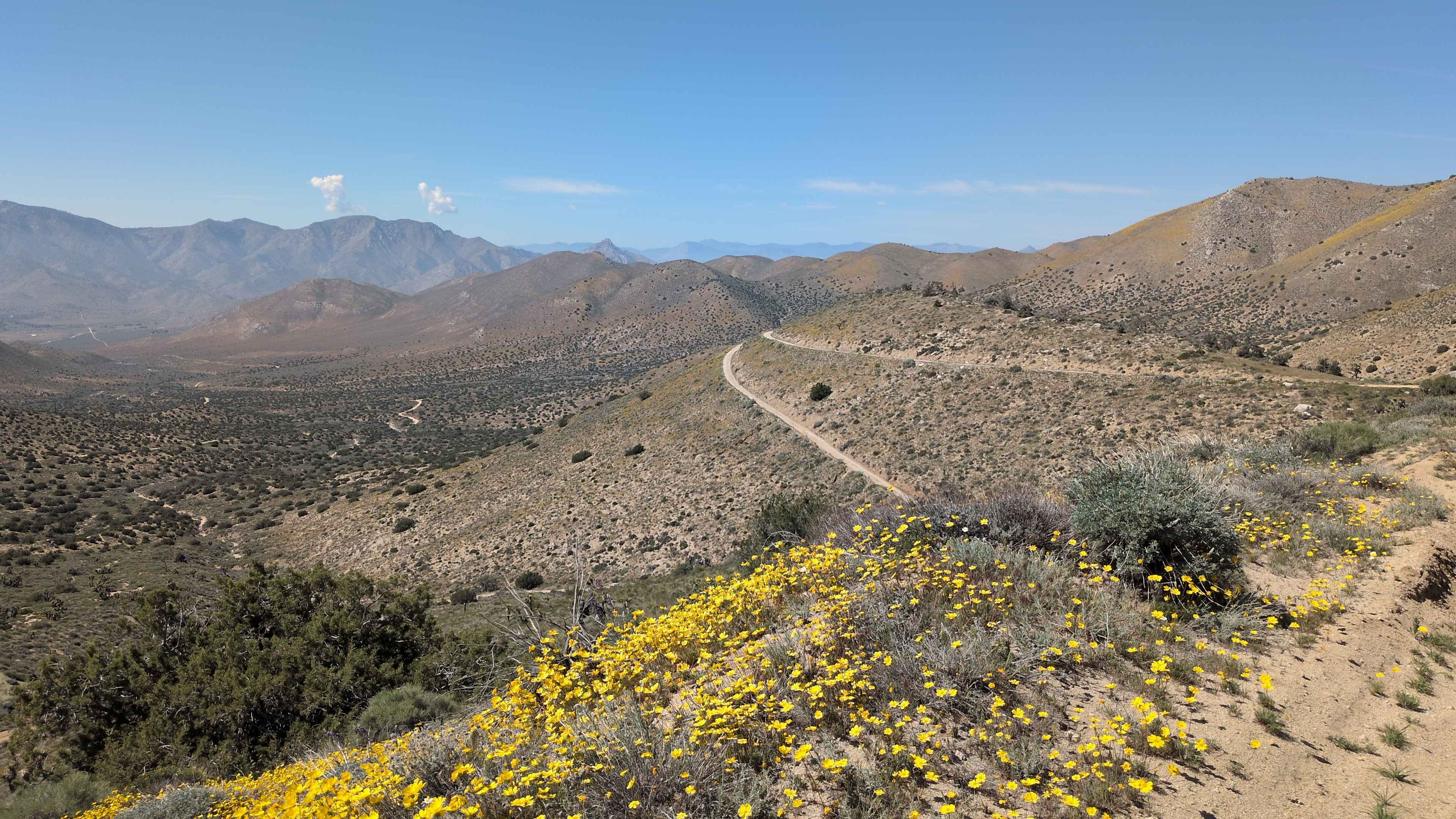 Bird Spring Canyon Road West BLM SC120