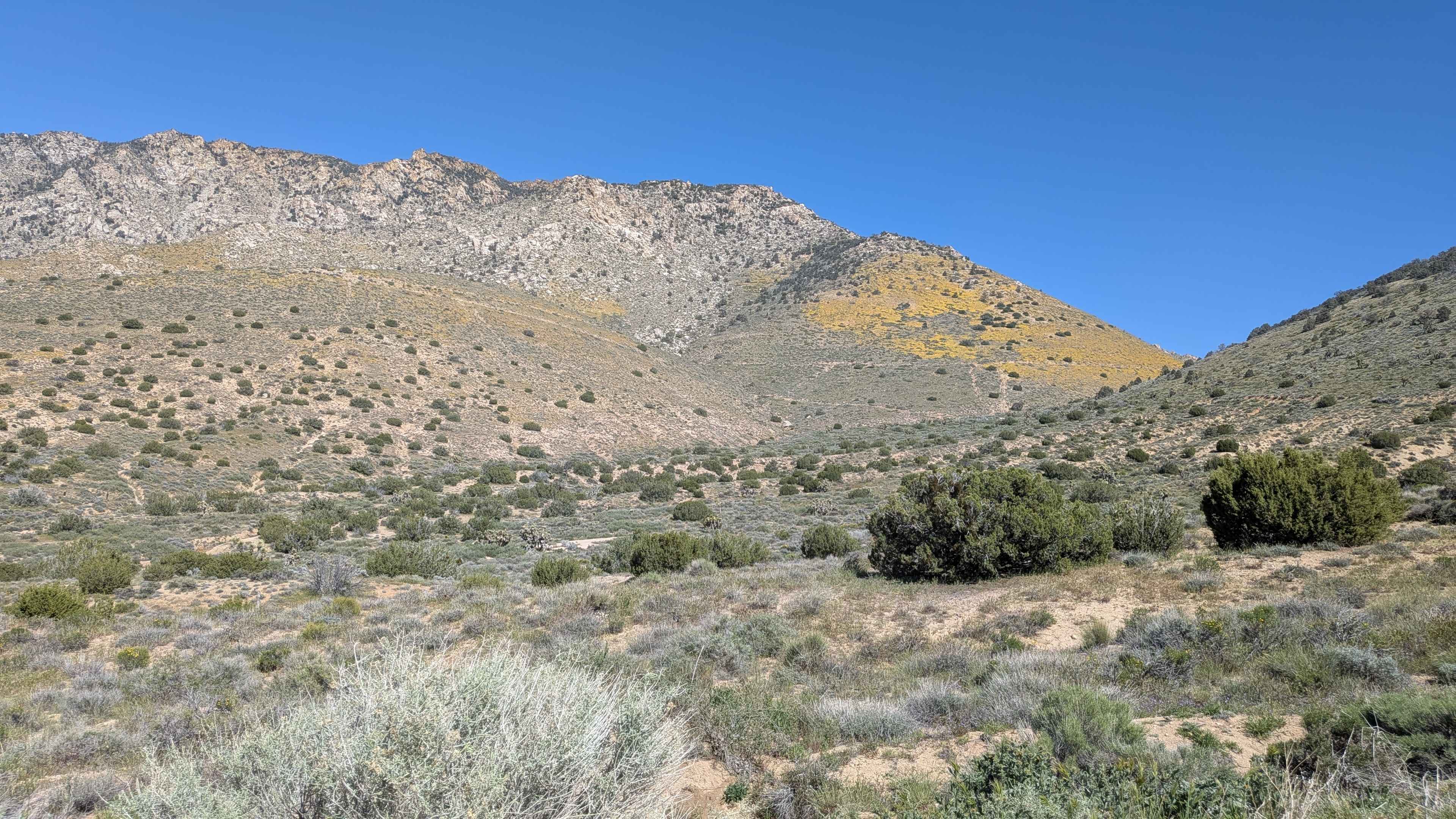 Bird Spring Canyon Road West BLM SC120