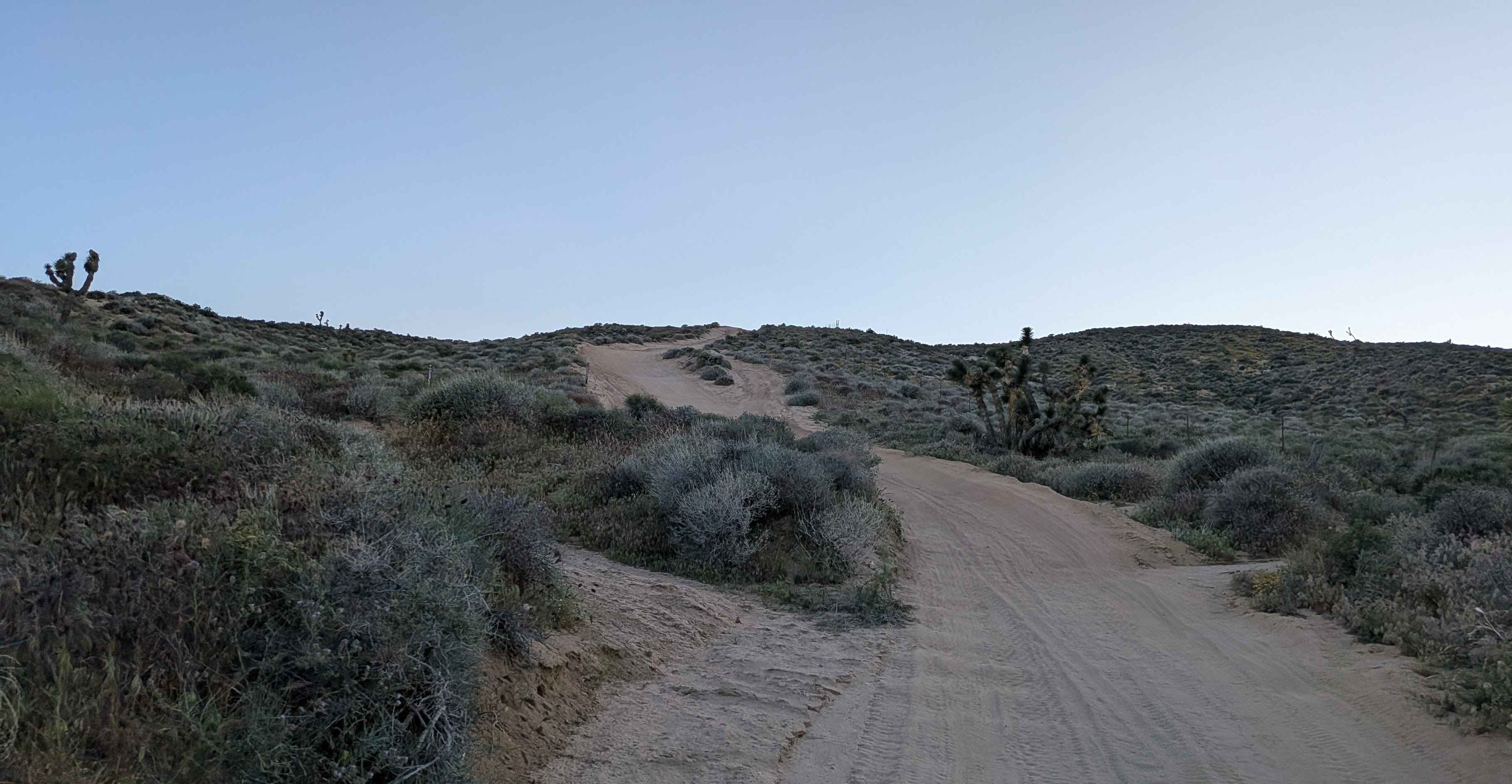 Dove Springs Canyon Rd BLM SC103