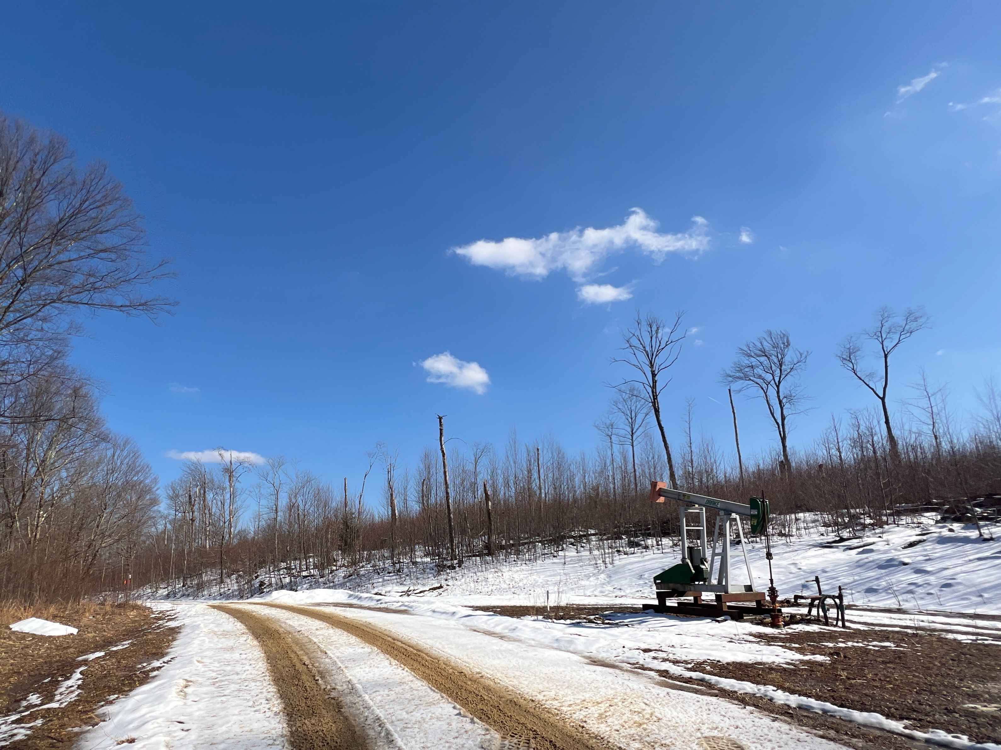 Blacksnake Run Alternate