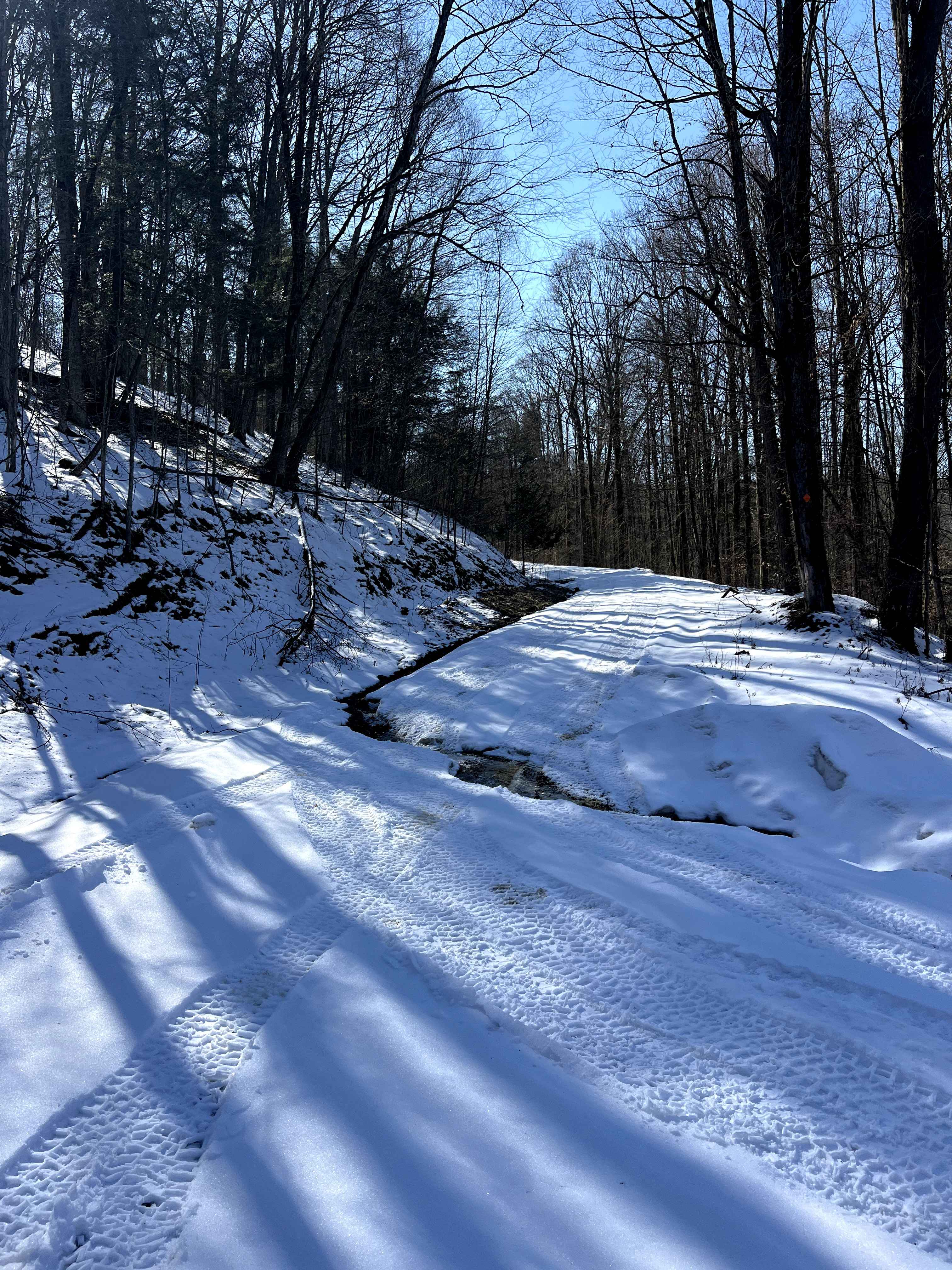 Blacksnake Run Alternate