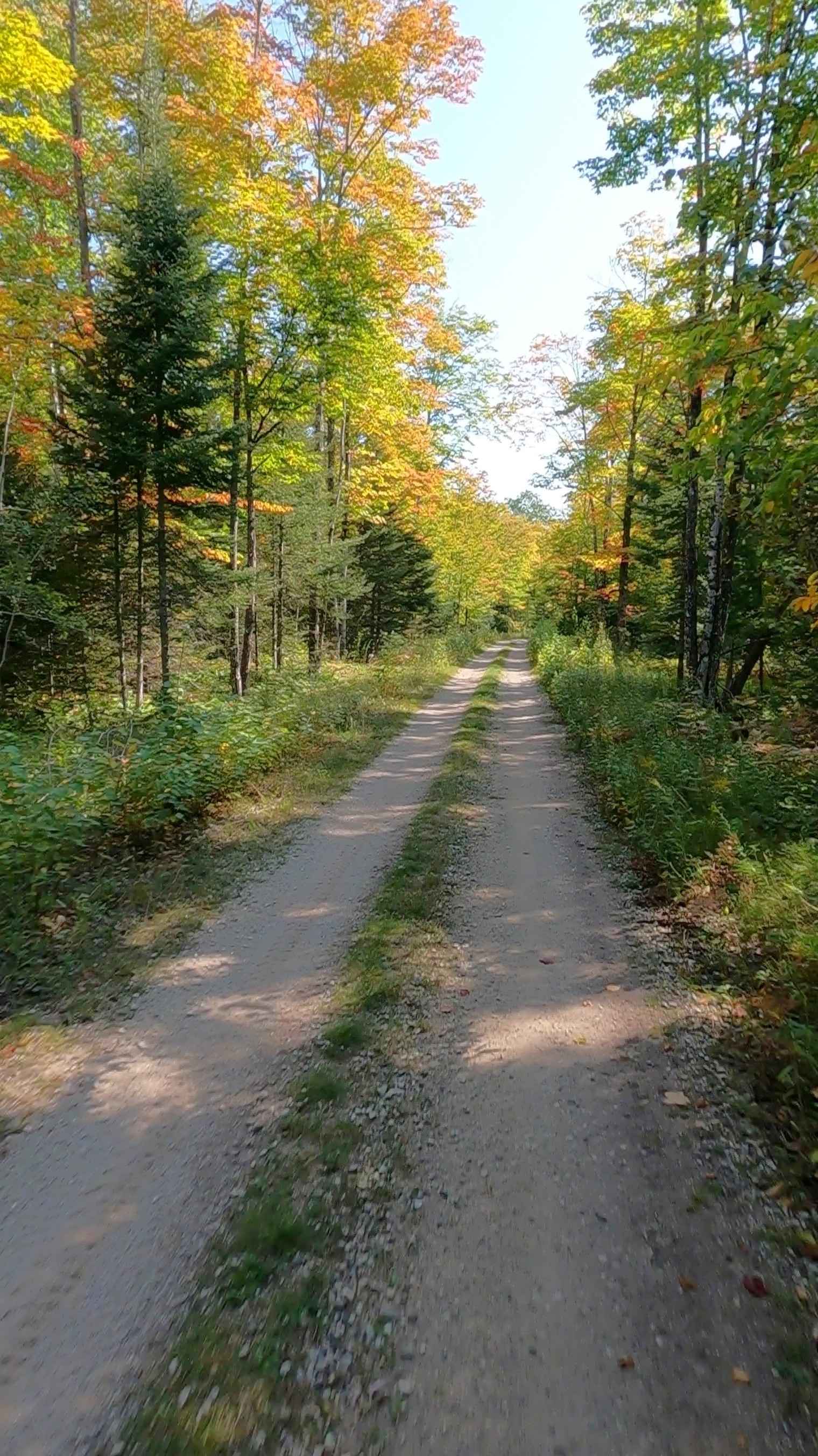 ORV Route A Service Bridge - FS 3810