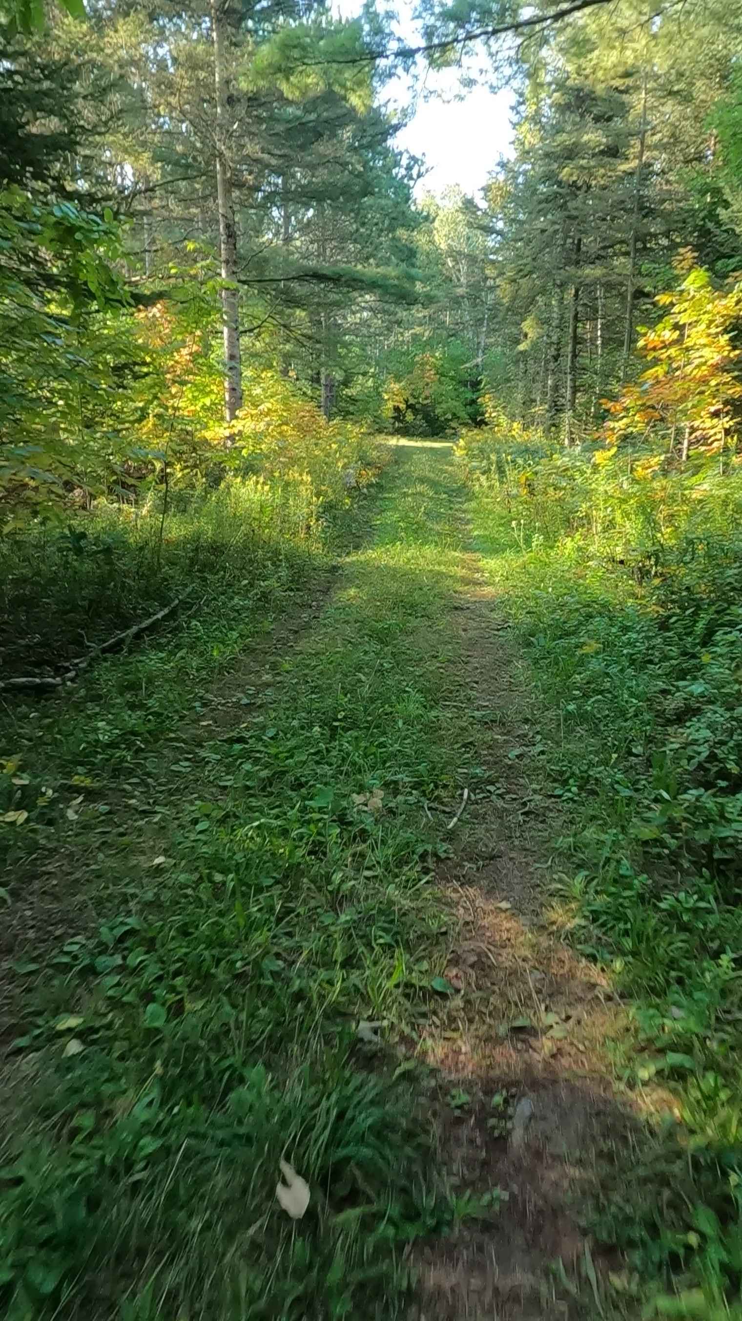 Hay Lake Spur A - FS 3413A