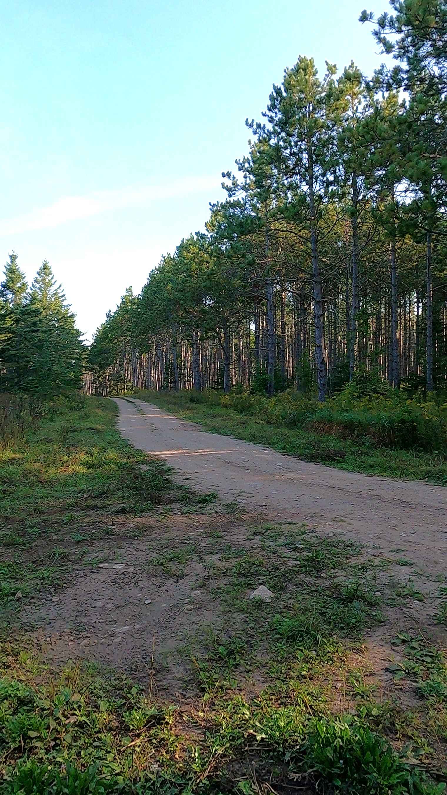 Hay Lake Spur A - FS 3413A