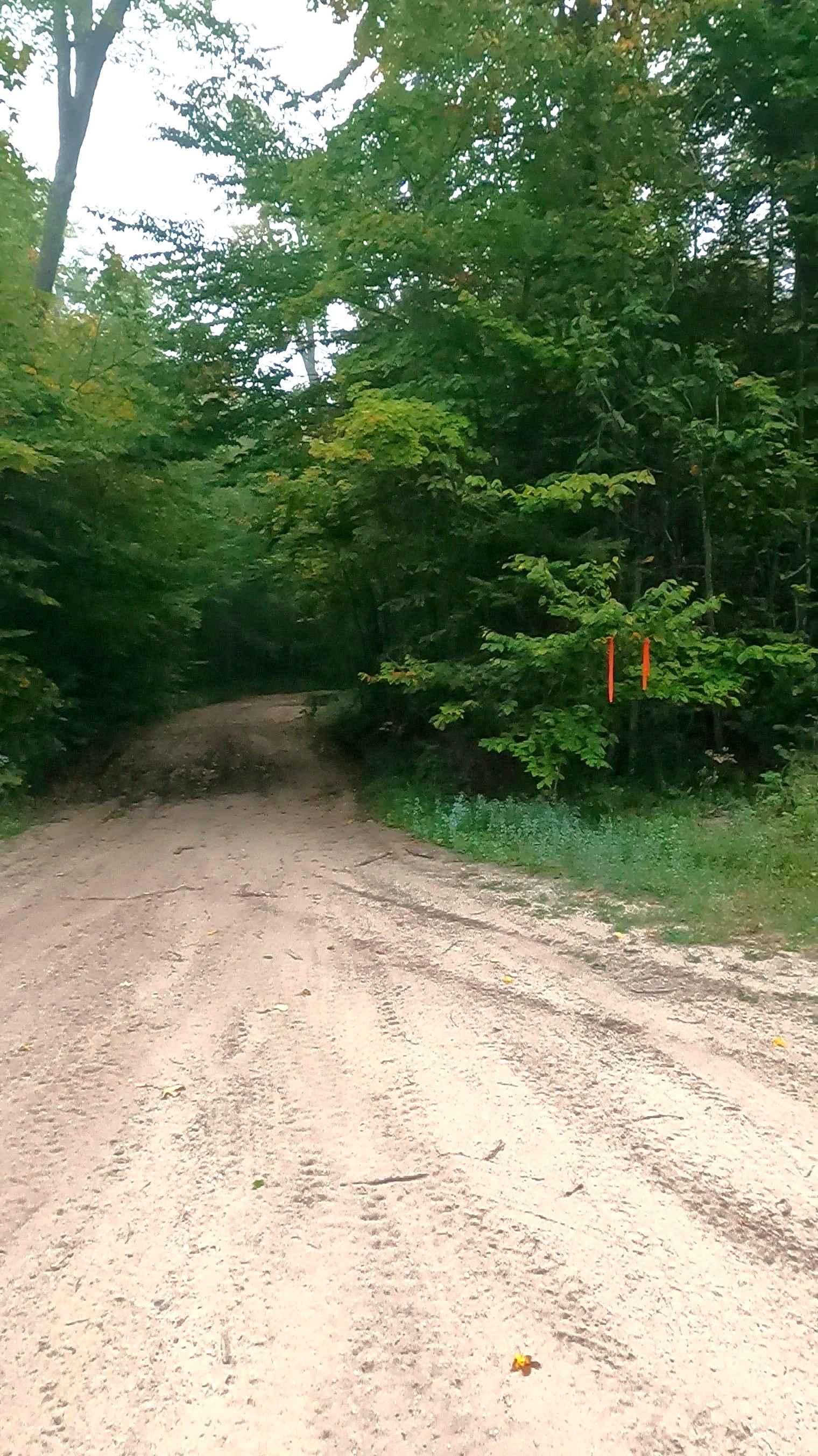 Cut River/Brevoort River Trail (ORV Route A)