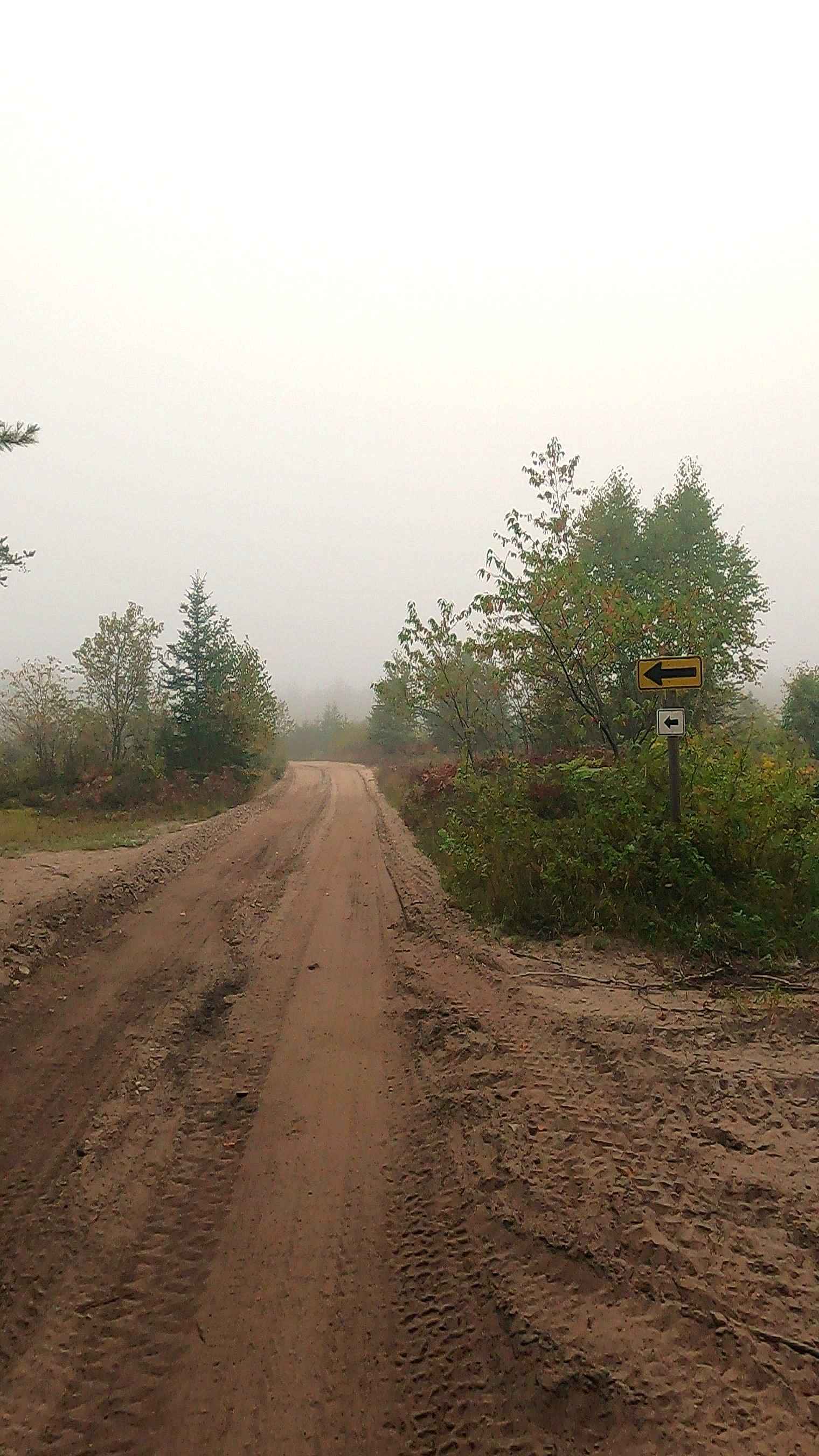 Cut River/Brevoort River Trail (ORV Route A)