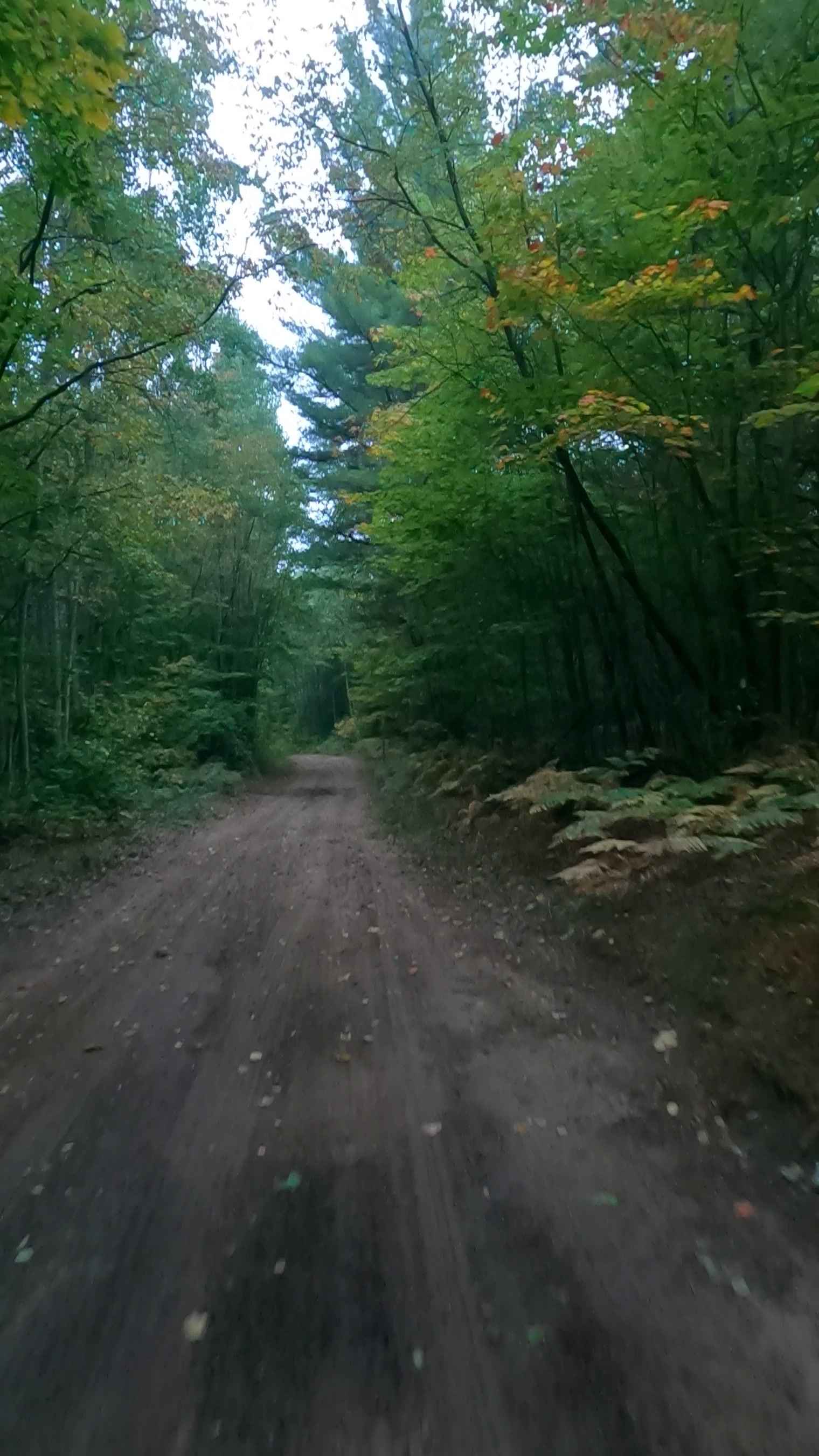 Prout Road (ORV Route A)