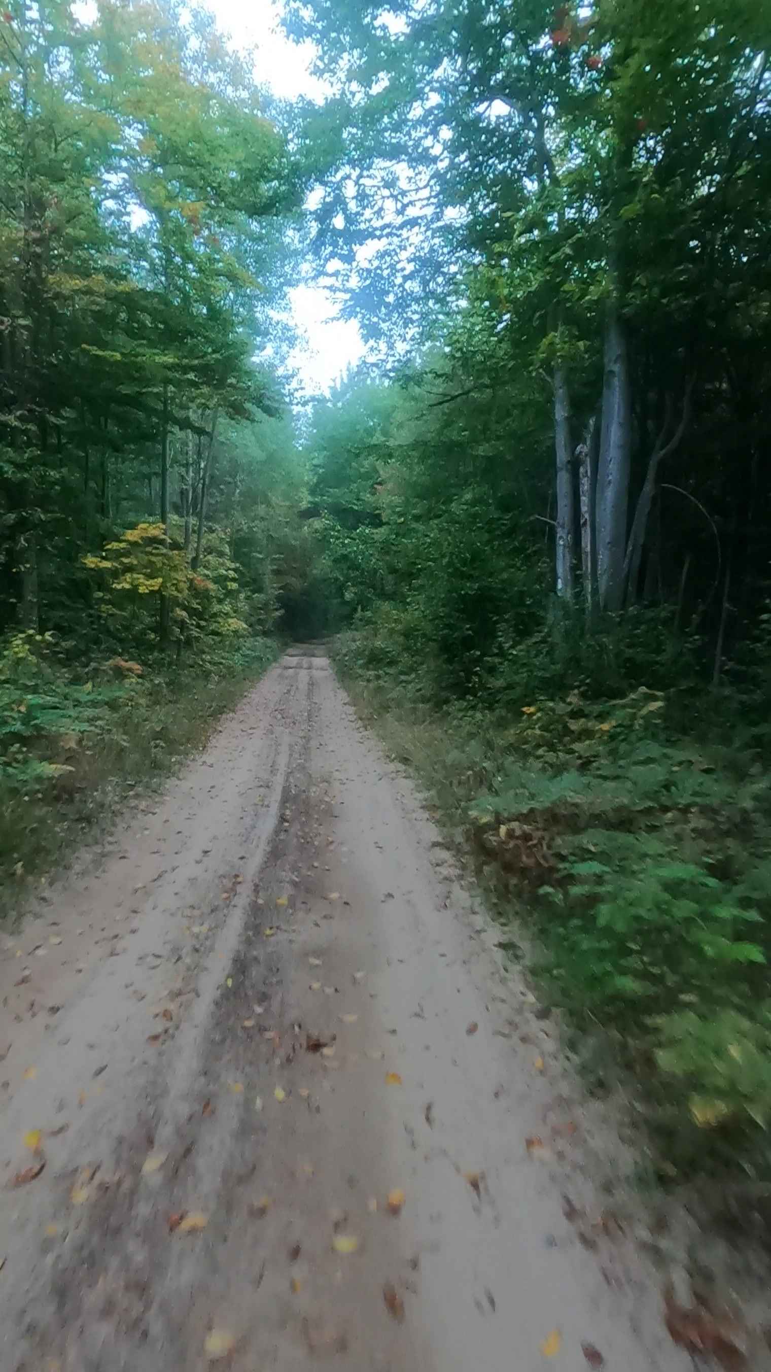 Prout Road (ORV Route A)