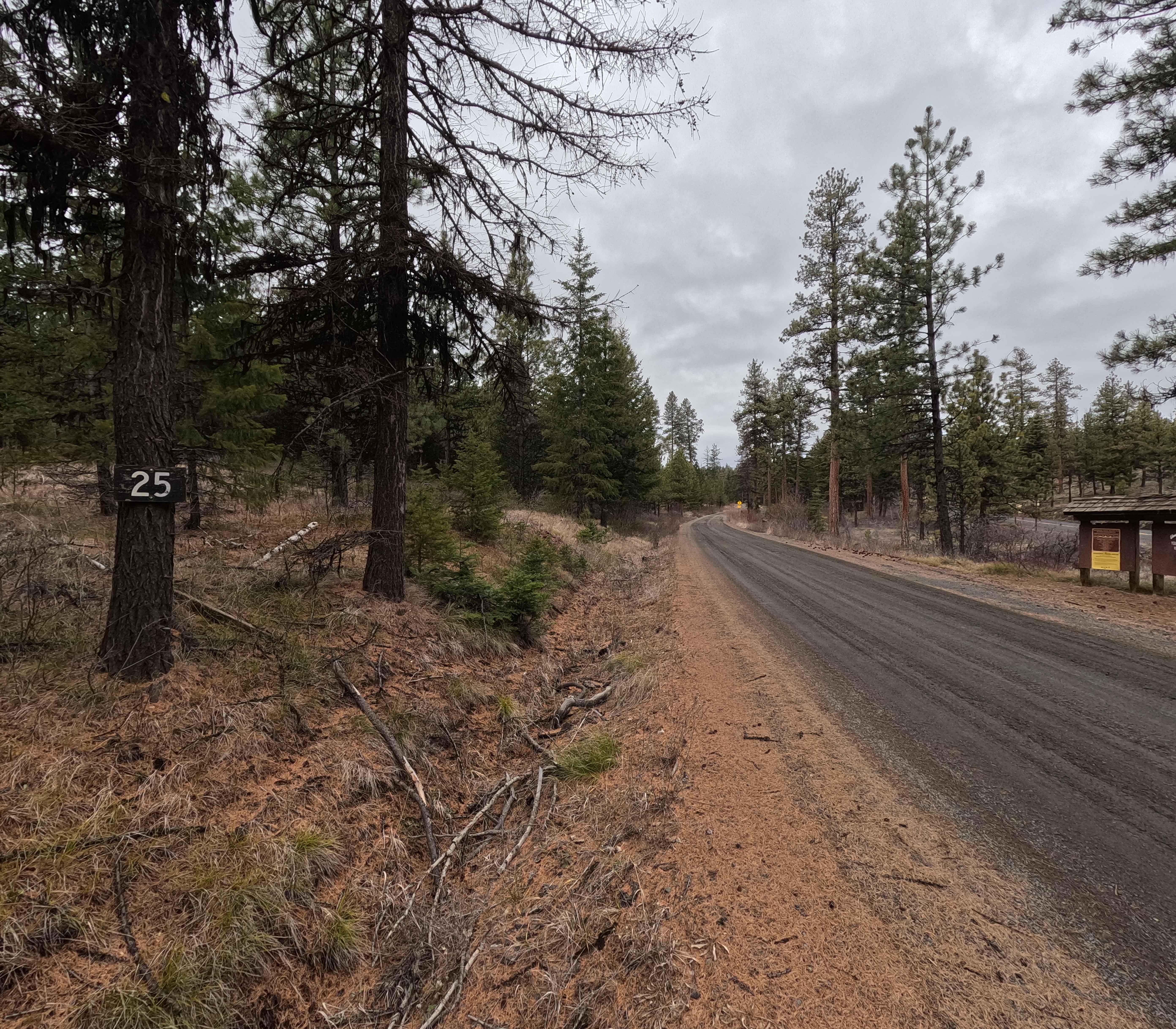 Wheeler Point - FS 25