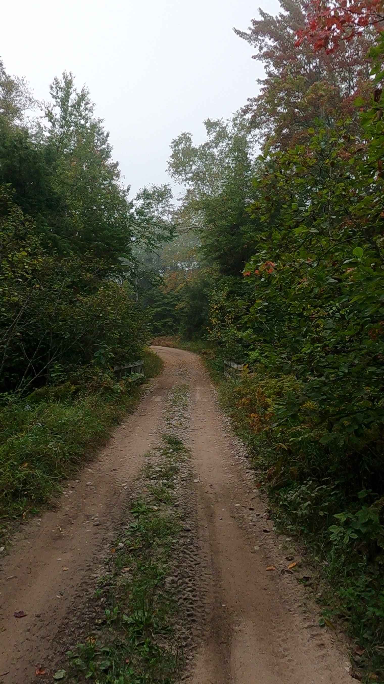 Paquinn Creek Road/ Sand Lake Road - FS 3374 (ORV Route A)