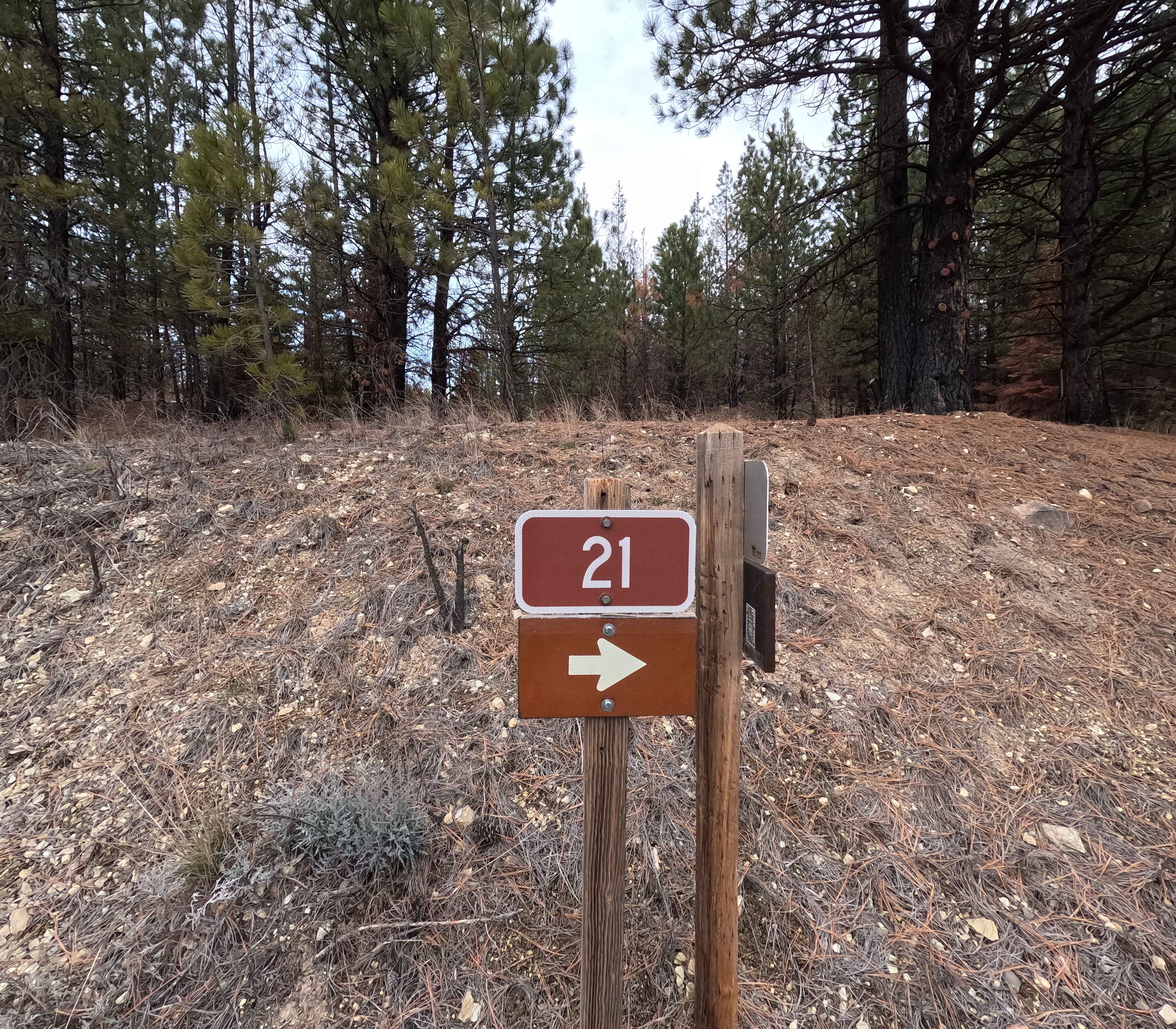 The Old Western Route - FS 21