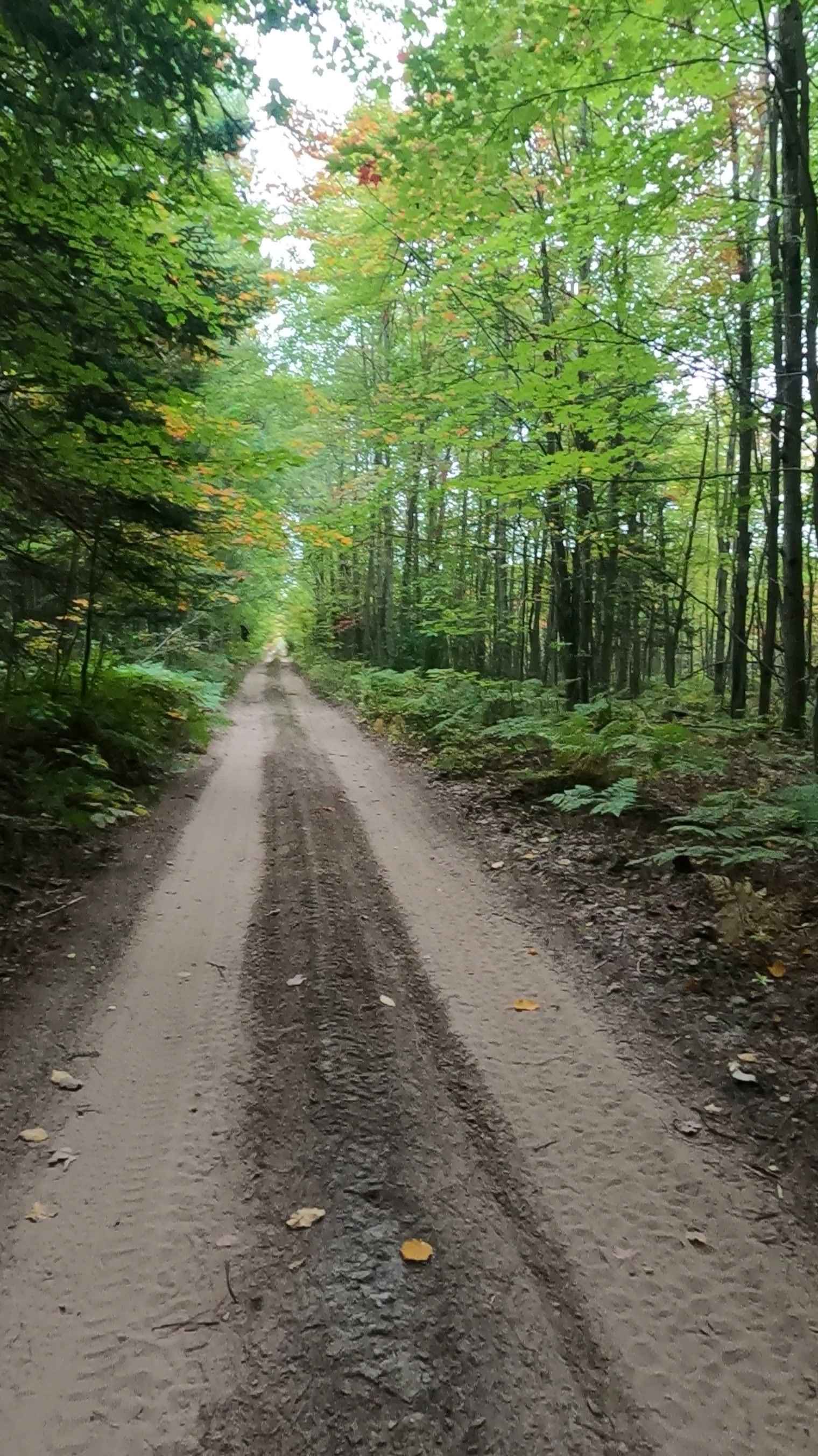 Strickler Truck Road