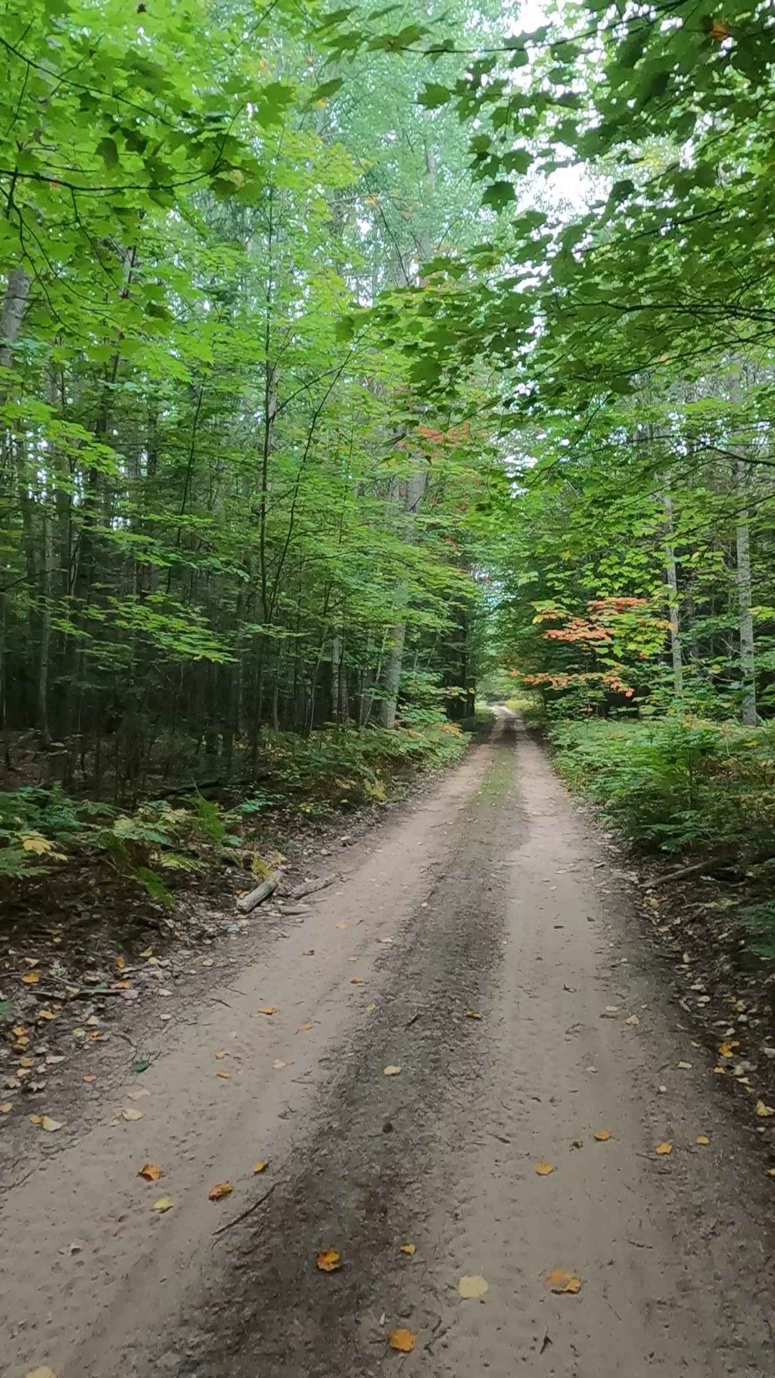 Strickler Truck Road